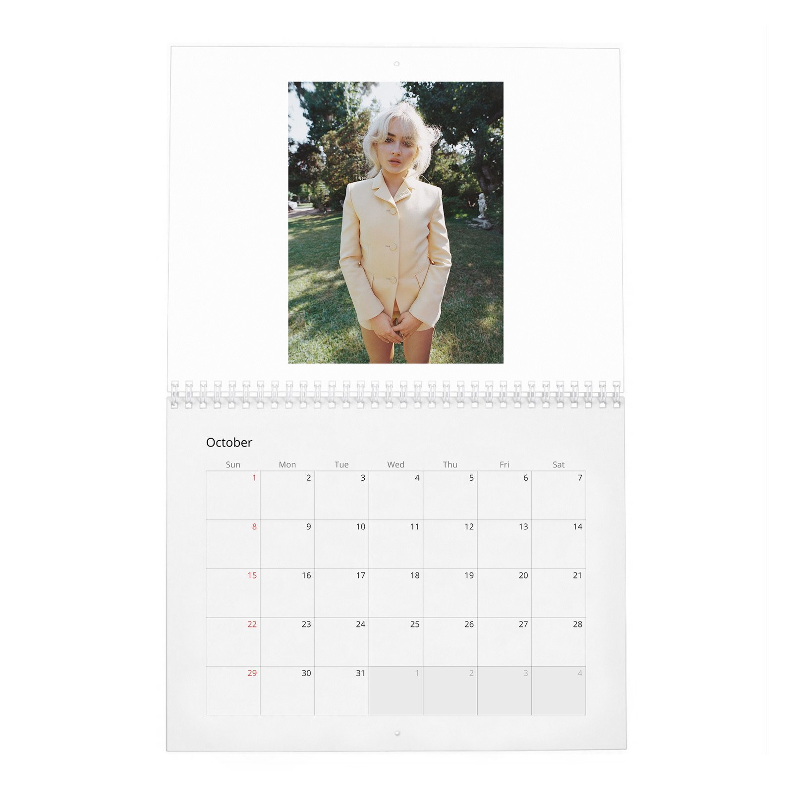 10 Sabrina Carpenter - Obsessed 2027 Wall Calendar