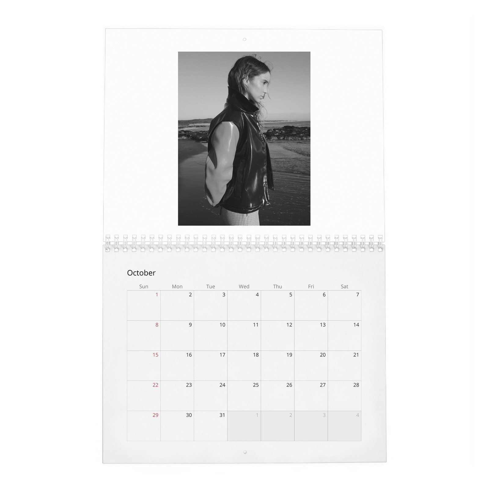 10 Alba Babtista - Embrancing Life 2027 Wall Calendar