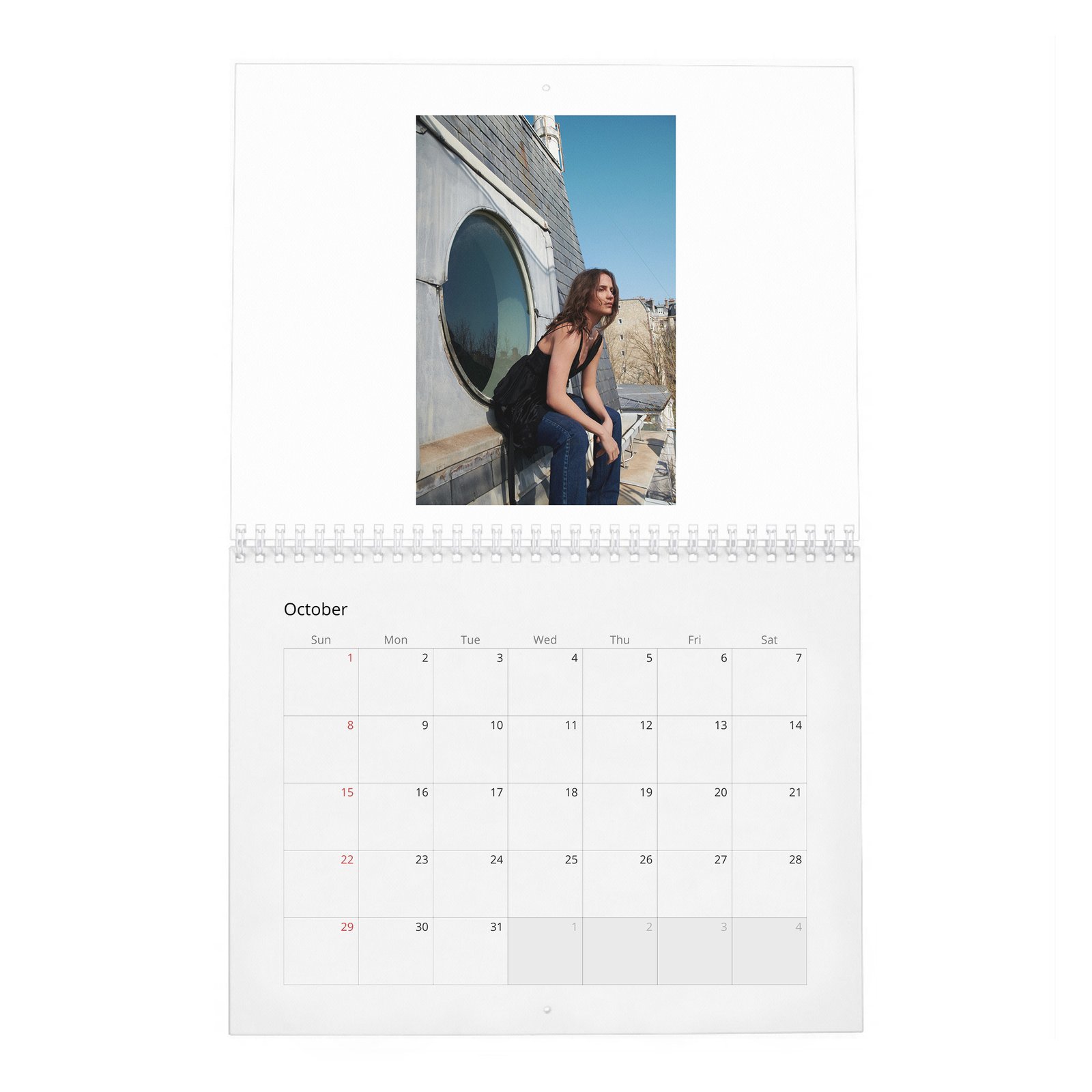 Alicia Vikander - Swedish North Star 2027 Wall Calendar