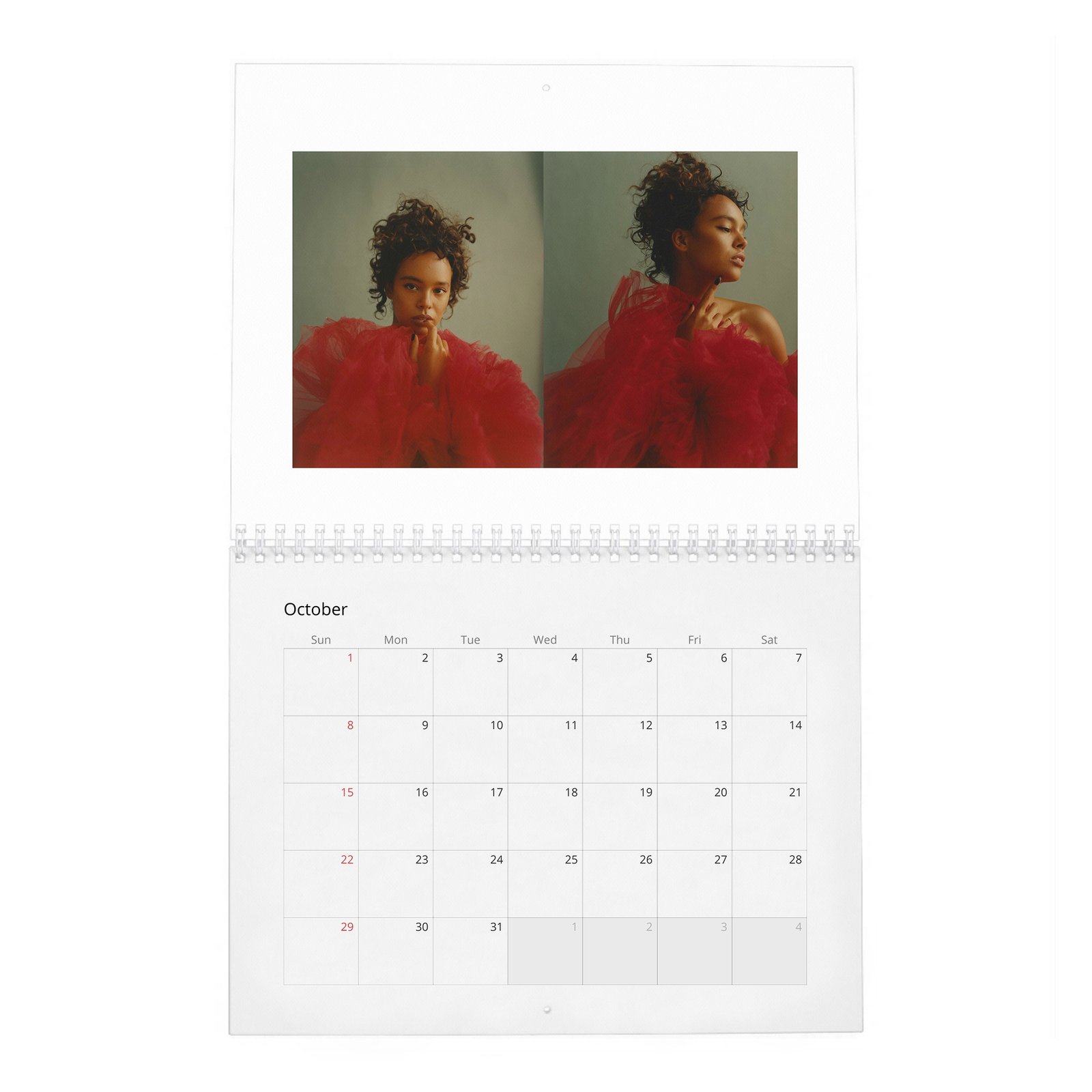 10 Alisha Boe - Wonderland 2027 Wall Calendar