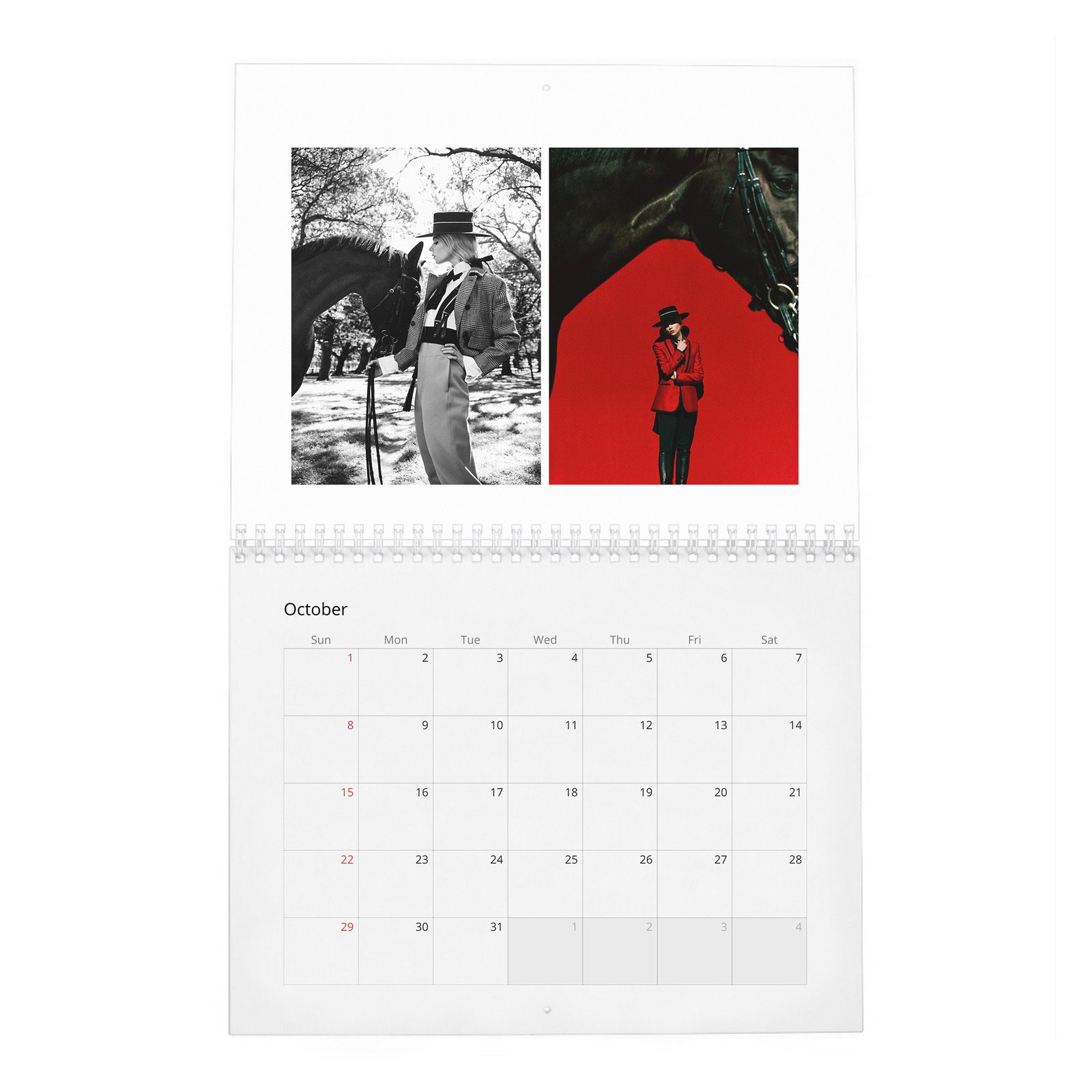10 Anya Taylor-Joy - Anya's Reign 2027 Wall Calendar