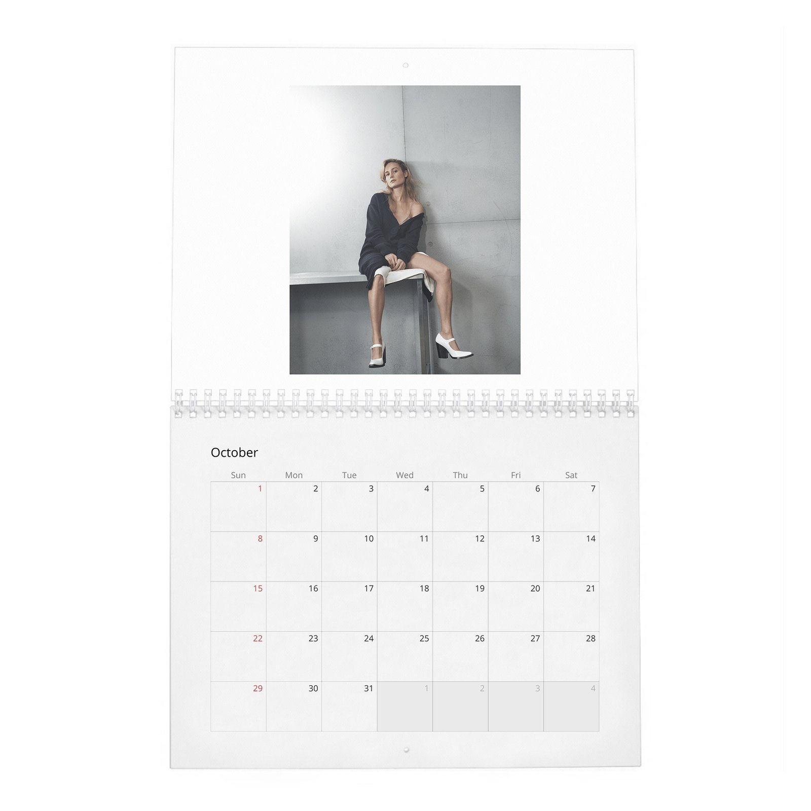 Brie Larson - Goes Her Own Way 2027 Wall Calendar