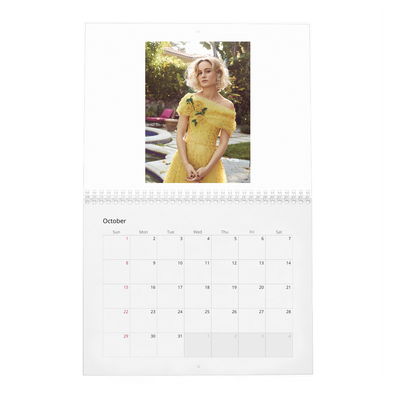 10 Brie Larson - Ready To Kick Some Ass 2027 Wall Calendar