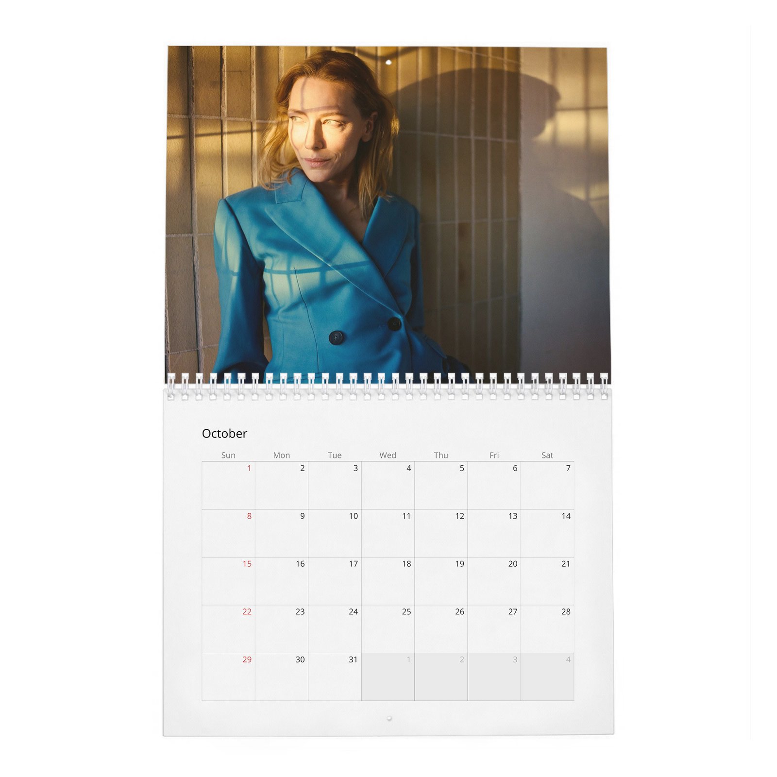 10 Cate Blanchett - Leading Light 2027 Wall Calendar