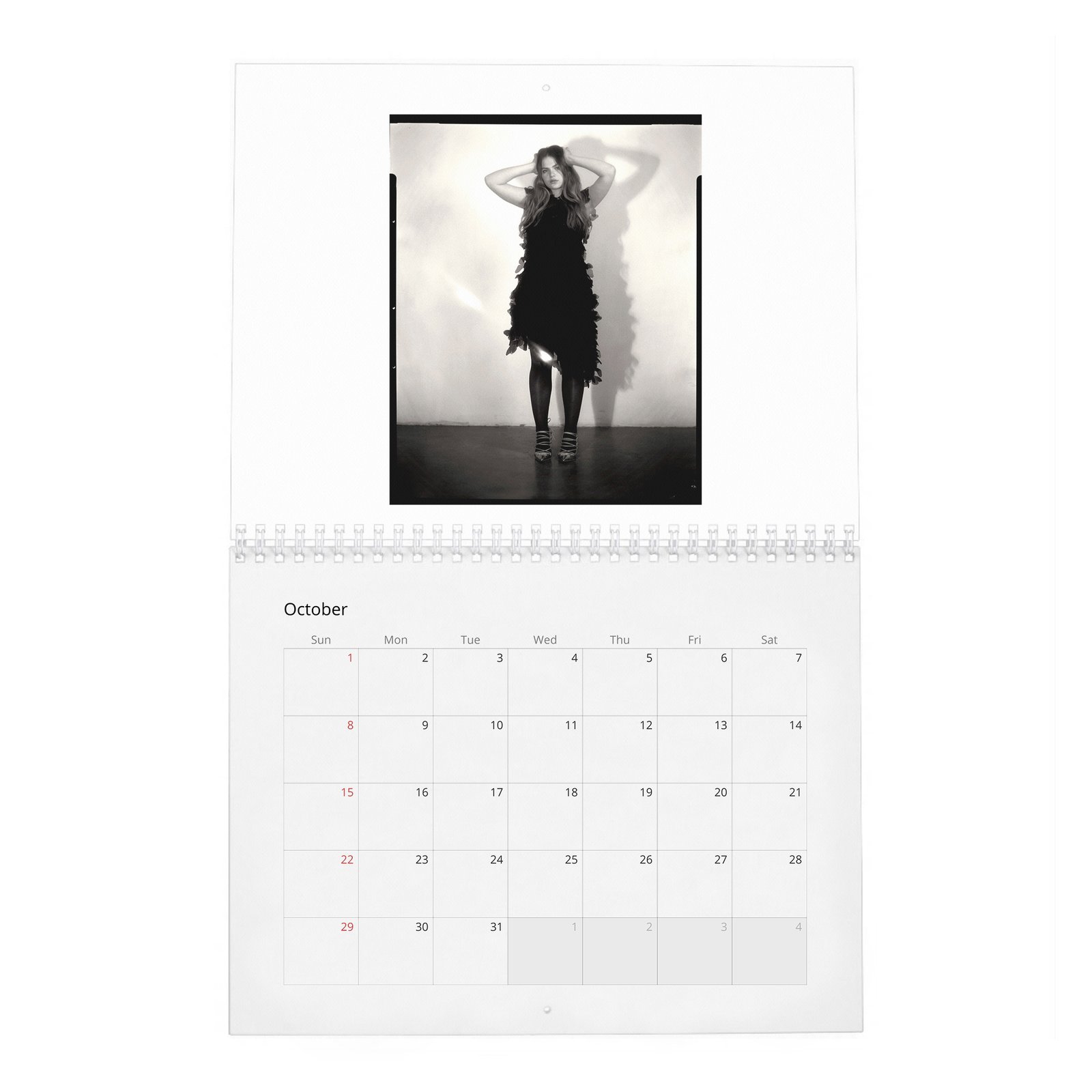 10 Chiara Aurelia - Aptitude And Ease 2027 Wall Calendar