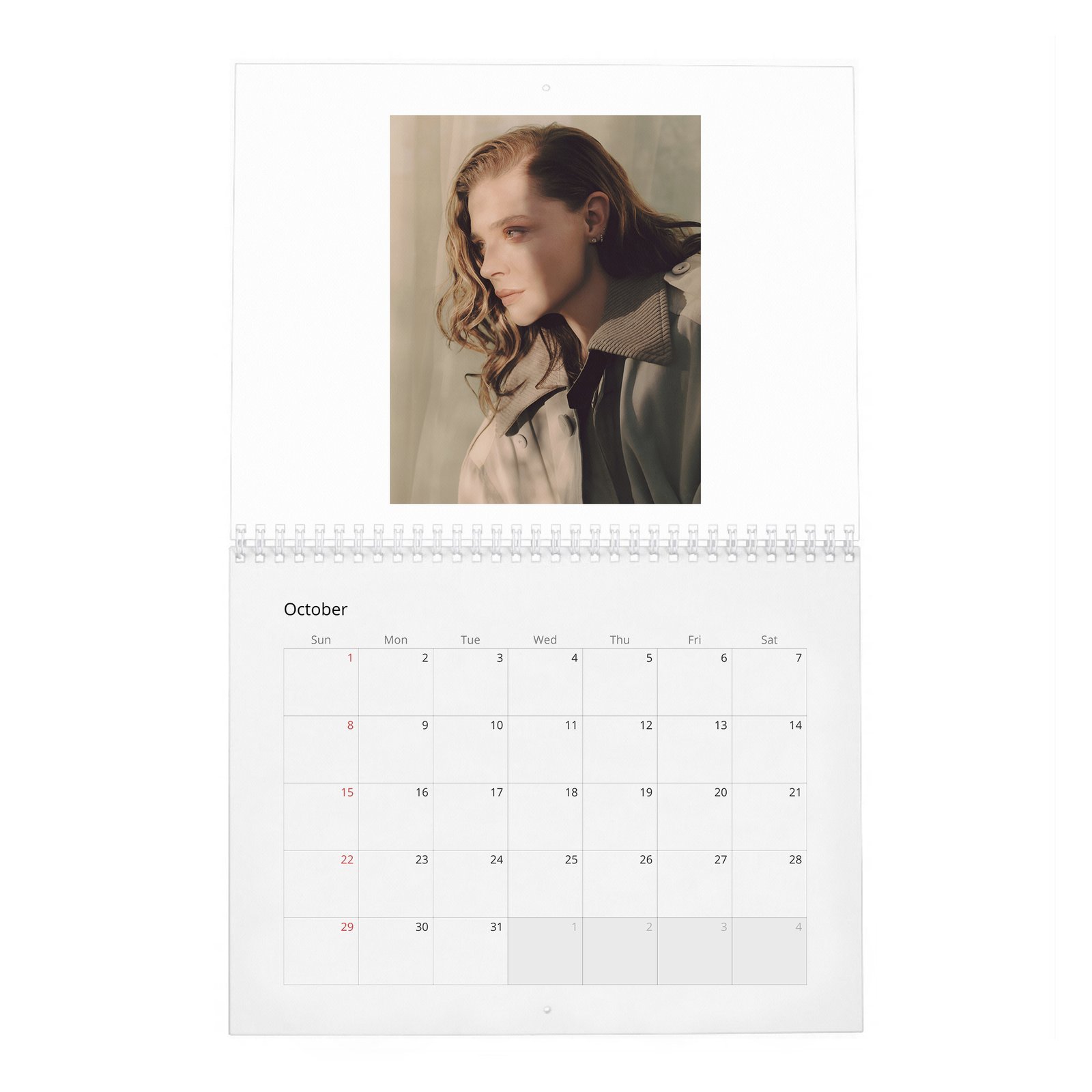 10 Chloe Grace Moretz - Wonderland 2027 Wall Calendar