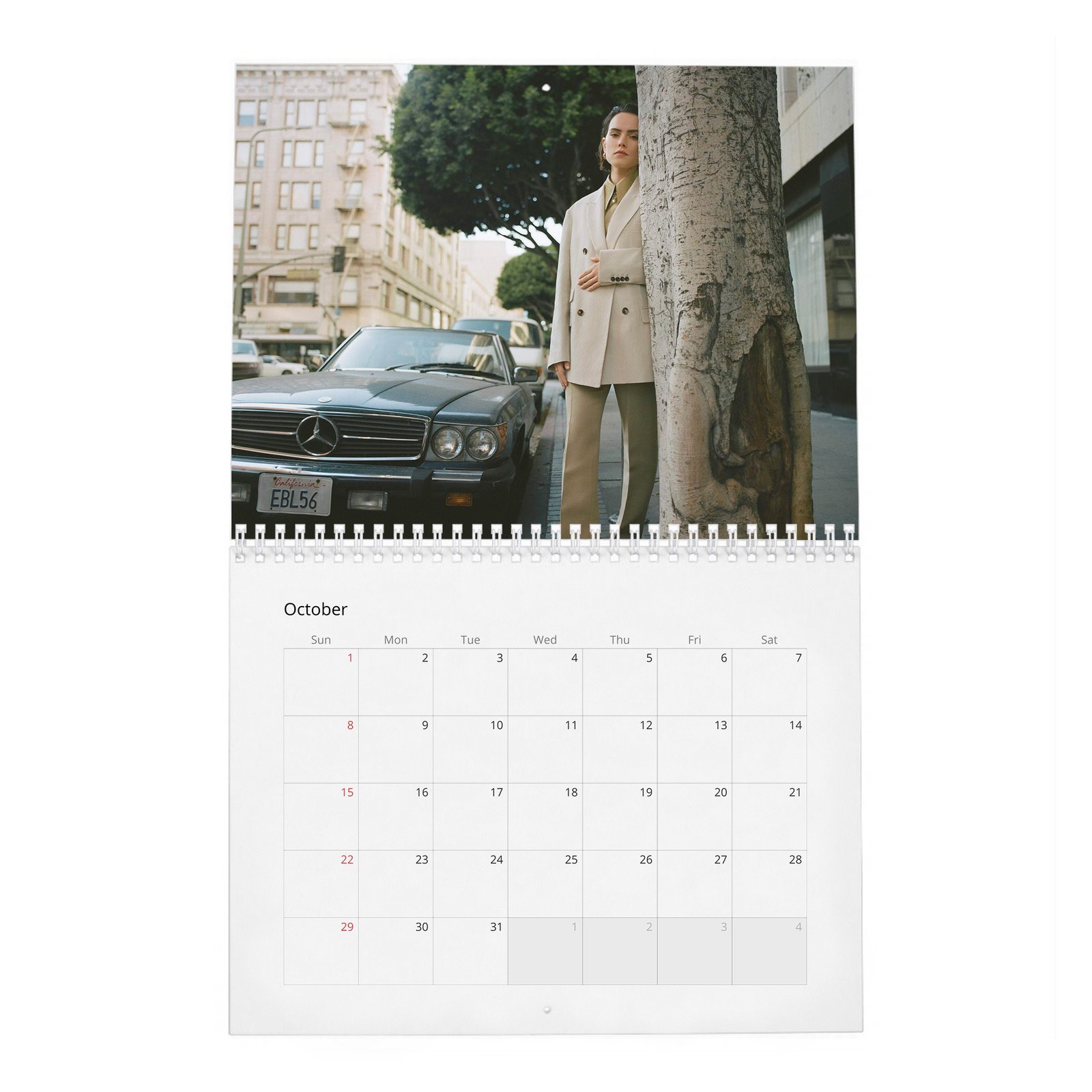 10 Daisy Ridley - Last Woman Standing 2027 Wall Calendar