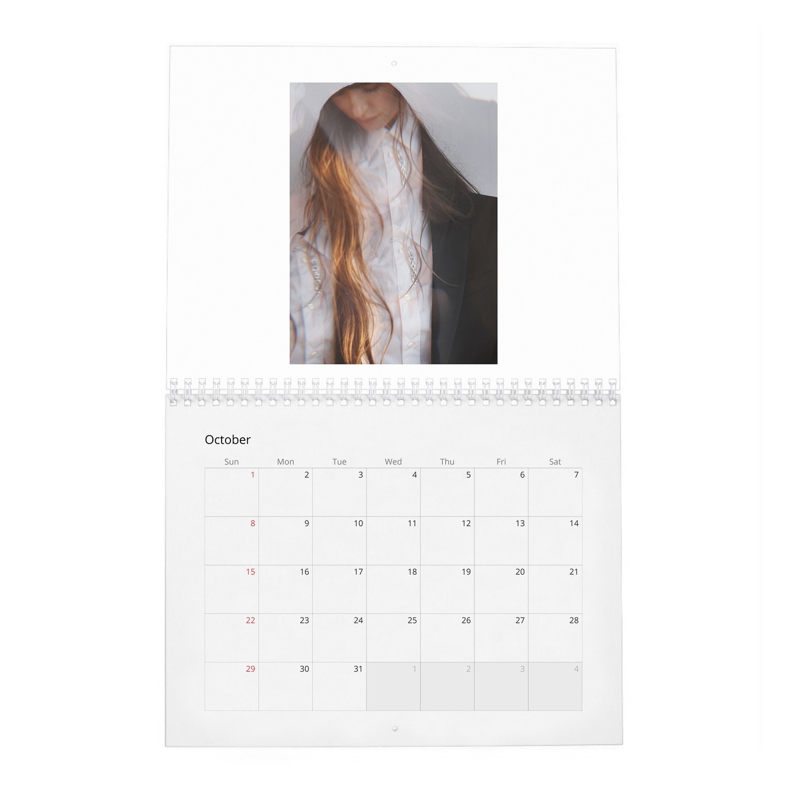 Dakota Johnson - Finding Her Light 2027 Wall Calendar