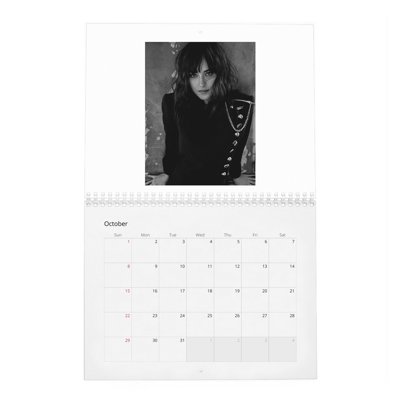 10 Dakota Johnson - Interview 2027 Wall Calendar
