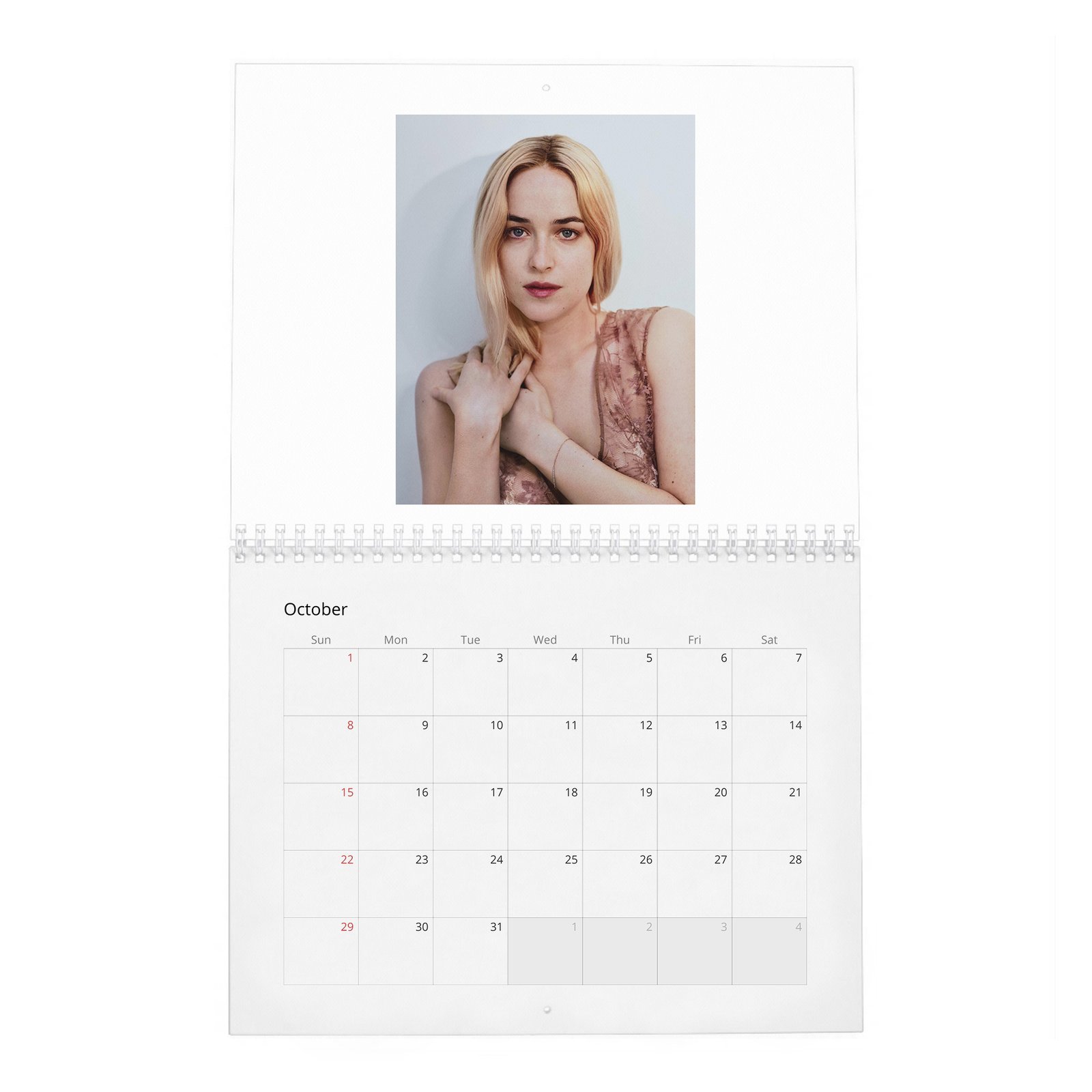 Dakota Johnson - Present A New Vision 2027 Wall Calendar