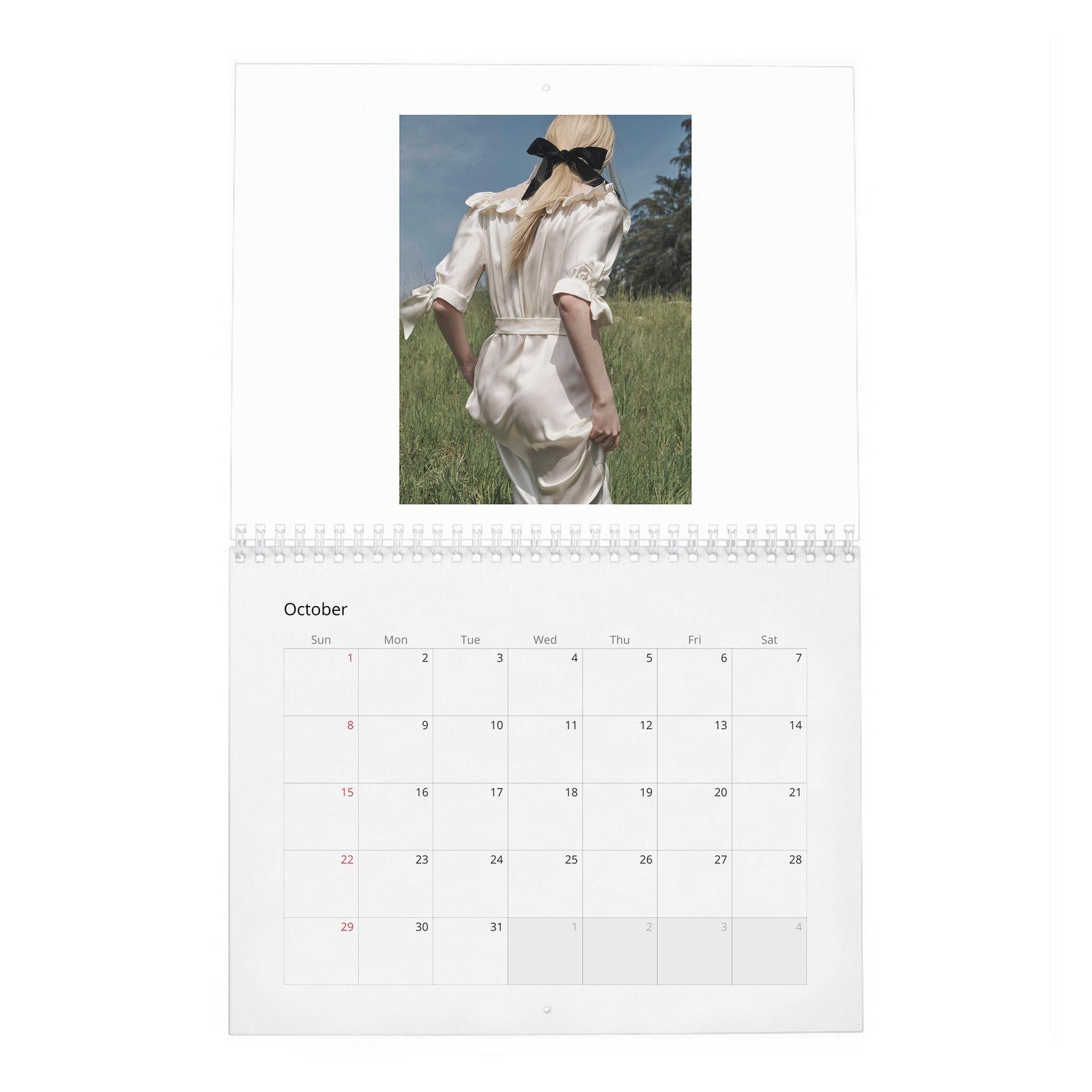 Elle Fanning - Heavenly Creature 2027 Wall Calendar