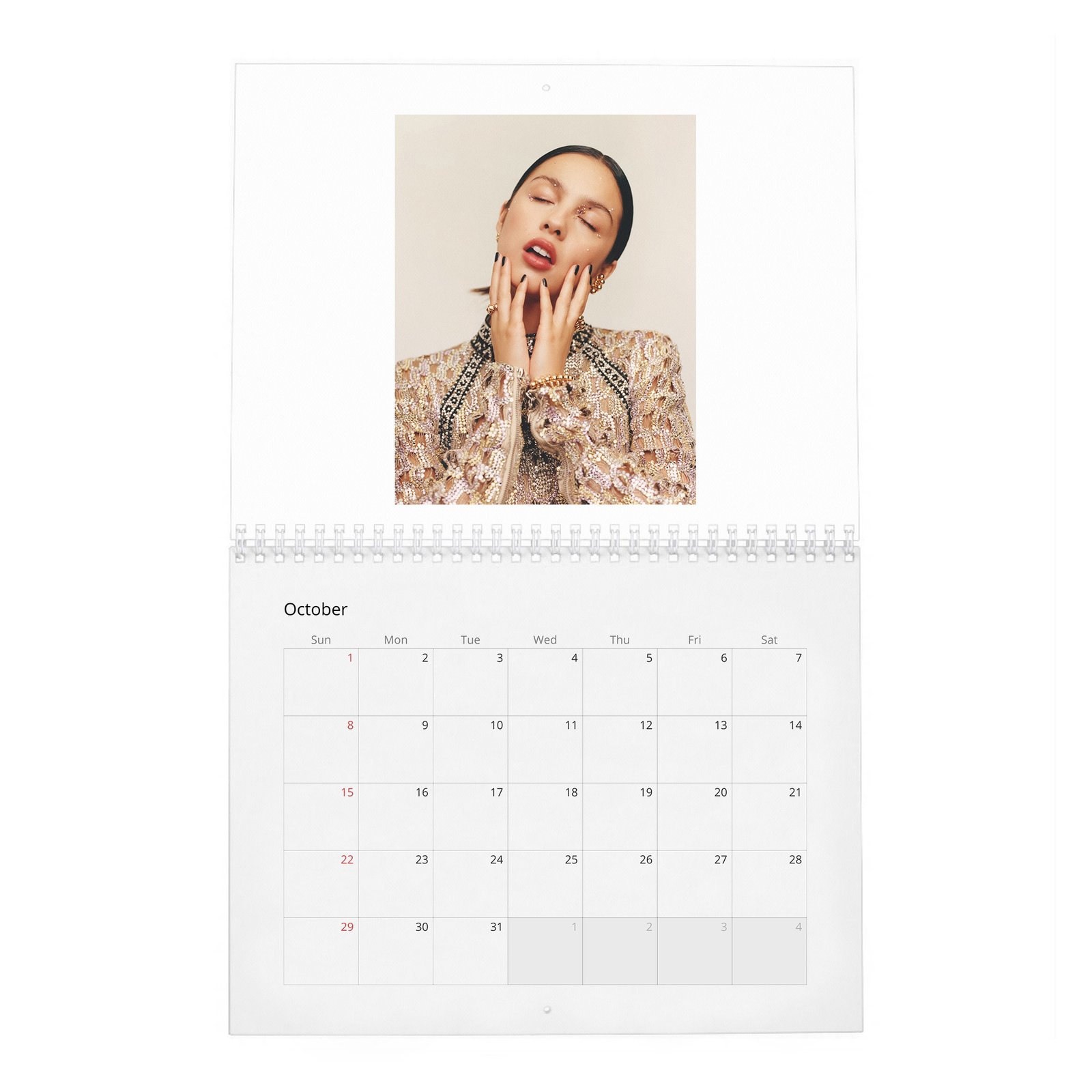 10 Olivia Rodrigo - Dreamer 2027 Wall Calendar