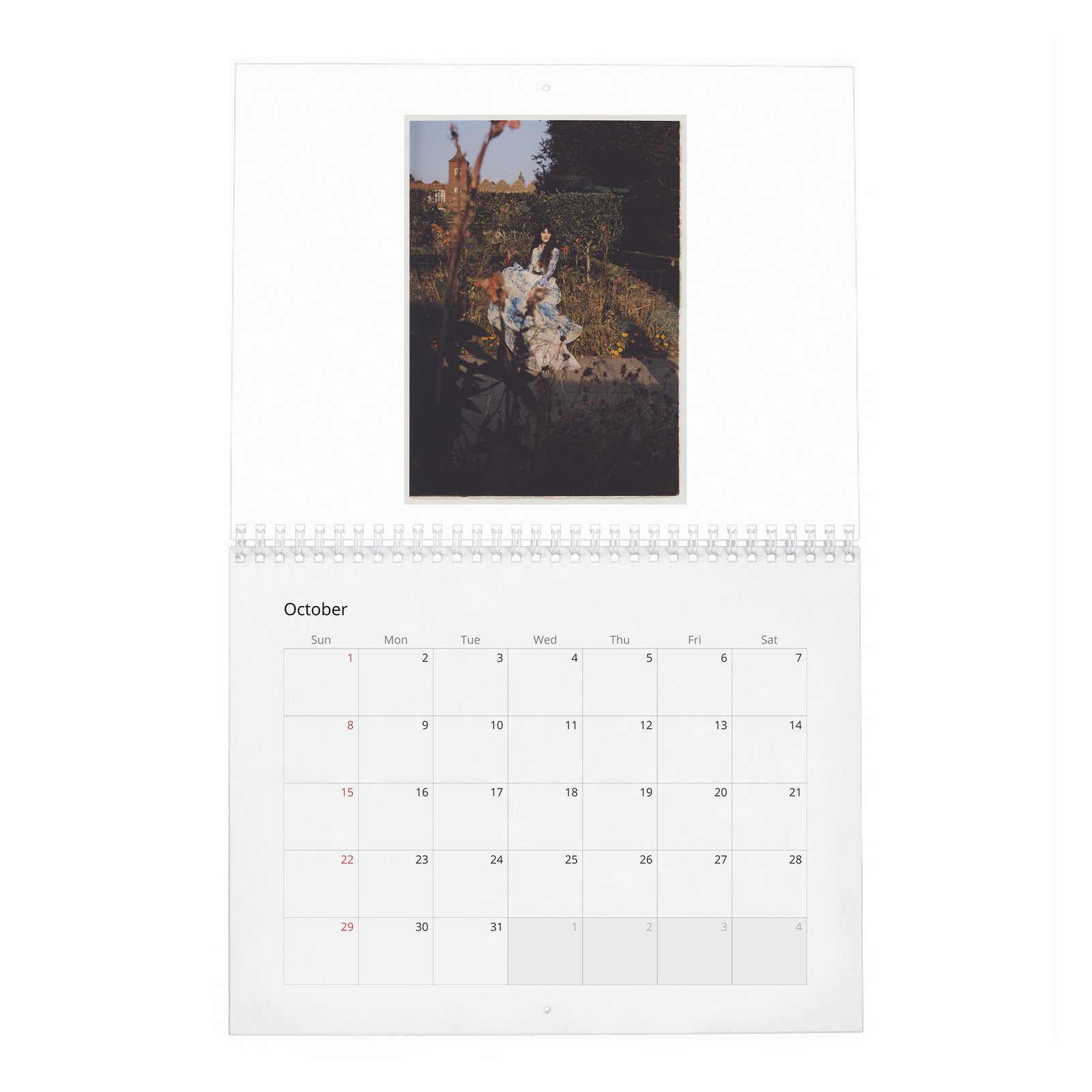 10 Emily Carey - Rose And Ivy 2027 Wall Calendar