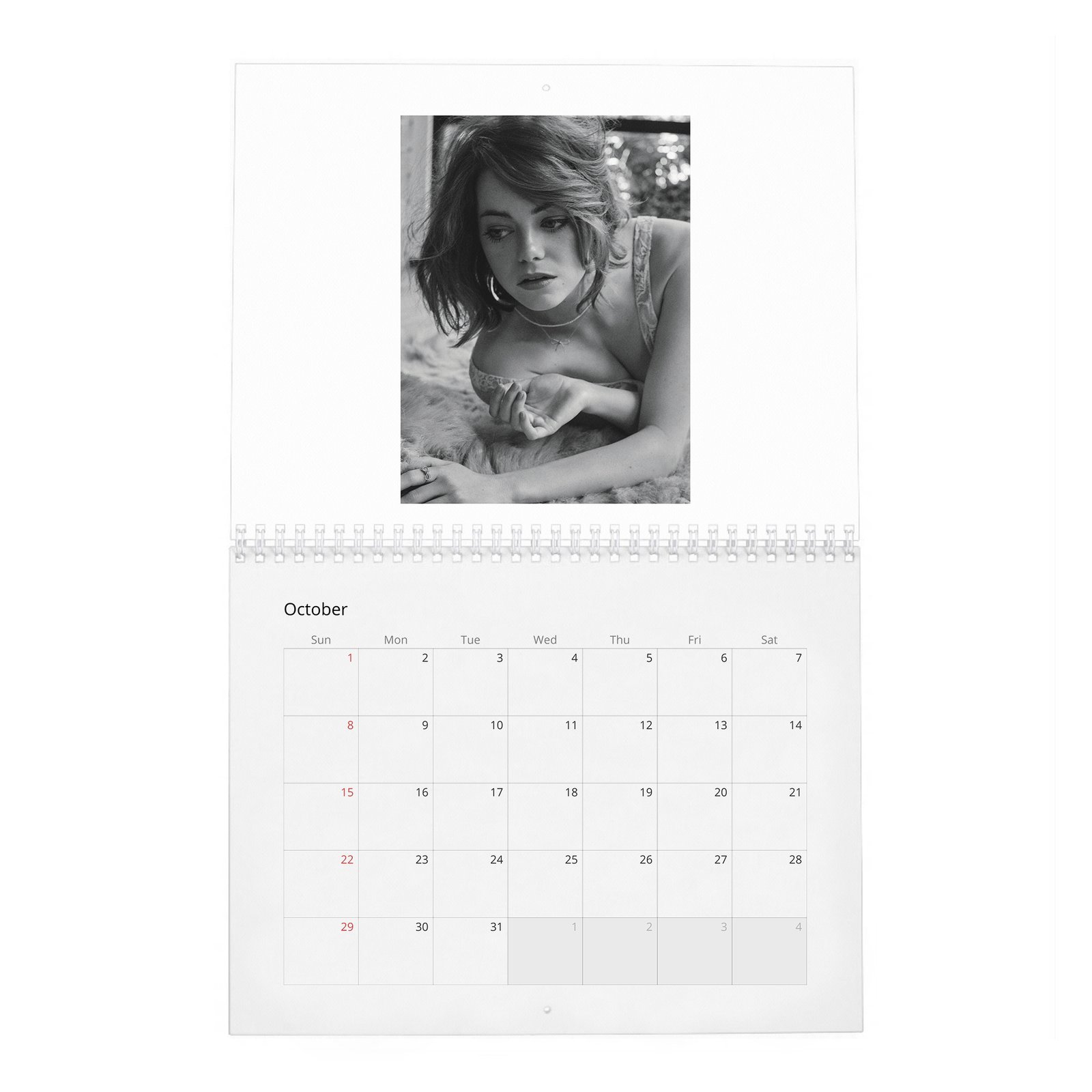 10 Emma Stone - Interview 2027 Wall Calendar