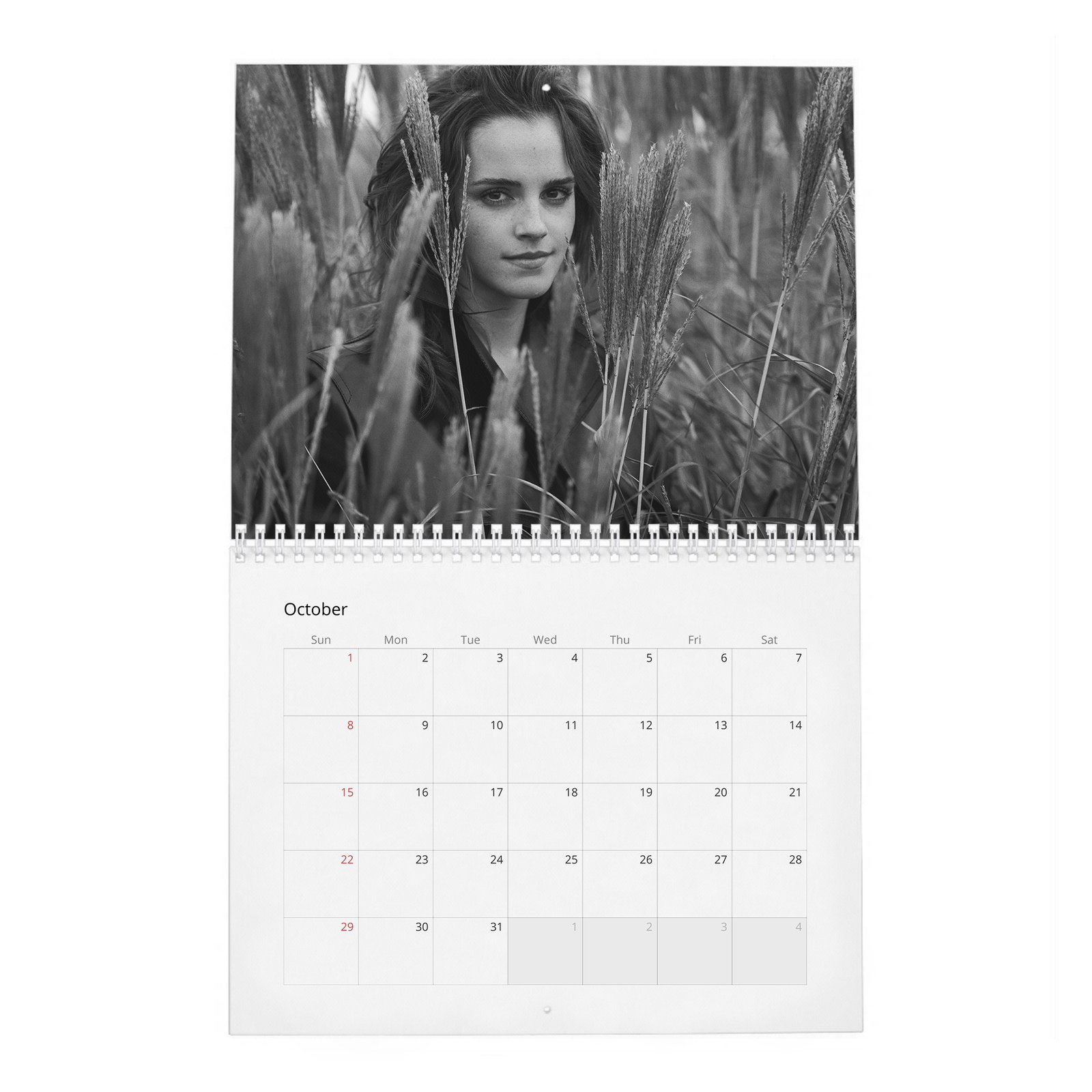 Emma Watson - Voice For Change 2027 Wall Calendar