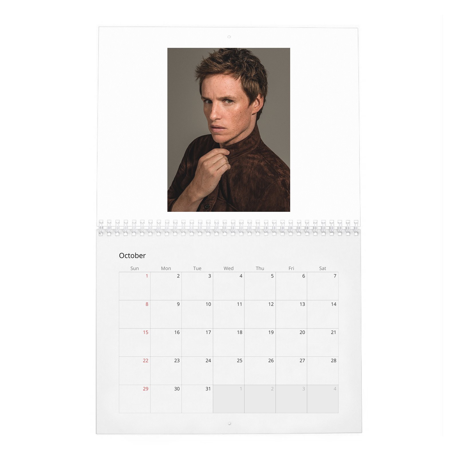 Eddie Redmayne - In Theory It Has Everything 2027 Wall Calendar