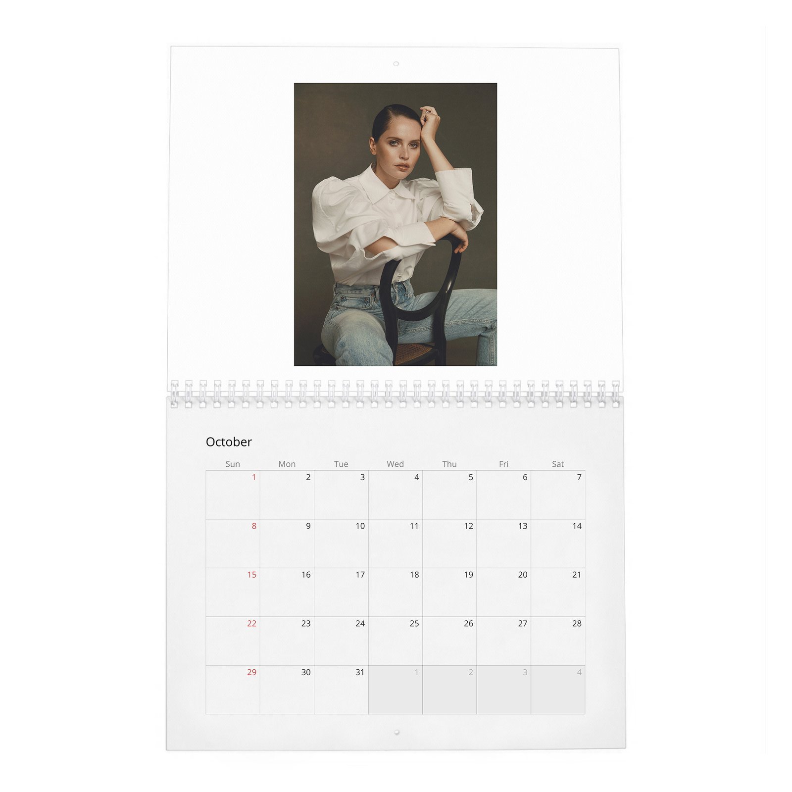 Felicity Jones - Rebel With A Cause 2027 Wall Calendar