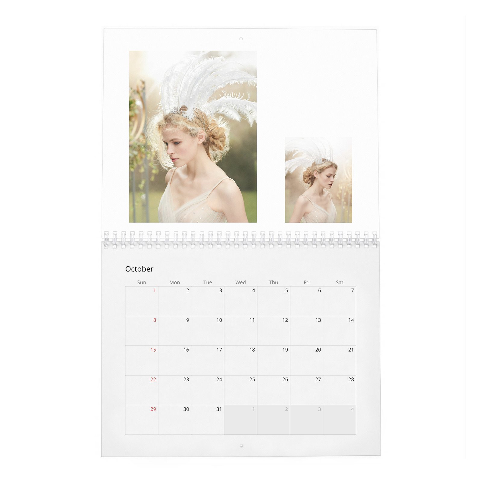 Gabriella Wilde - In Fine Feather 2027 Wall Calendar