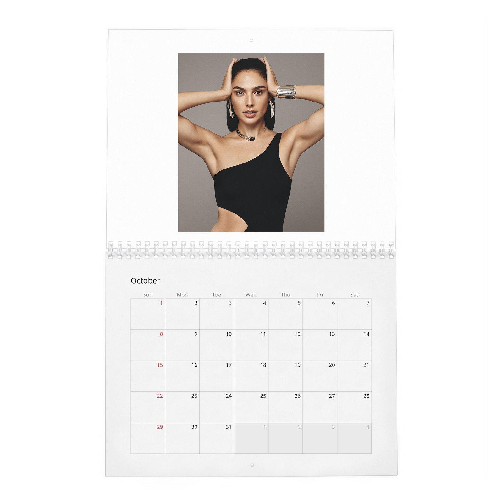 10 Gal Gadot - Real-Life Heroine 2027 Wall Calendar