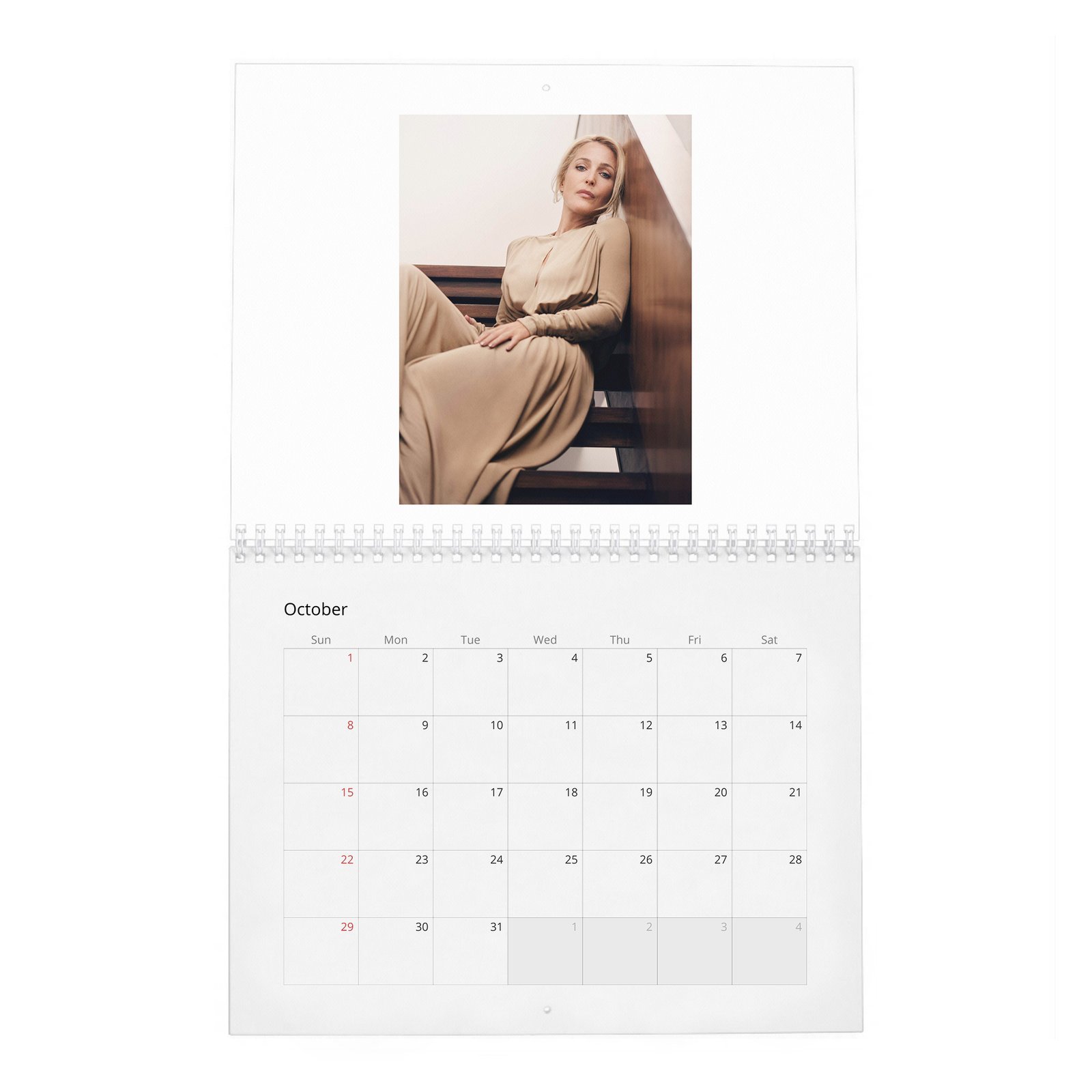 10 Gillian Anderson - Prime Time 2027 Wall Calendar