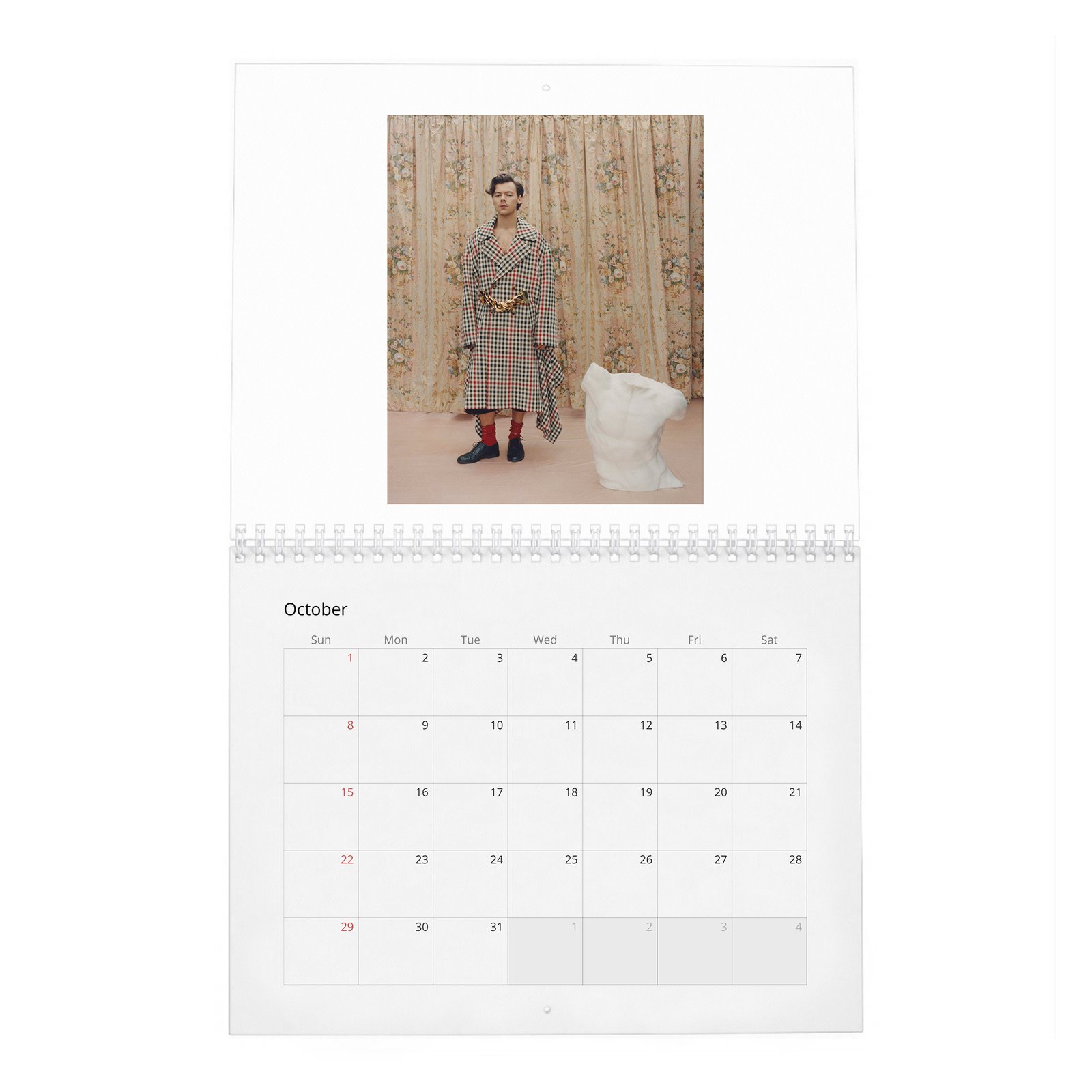 10 Harry Styles - Playtime 2027 Wall Calendar