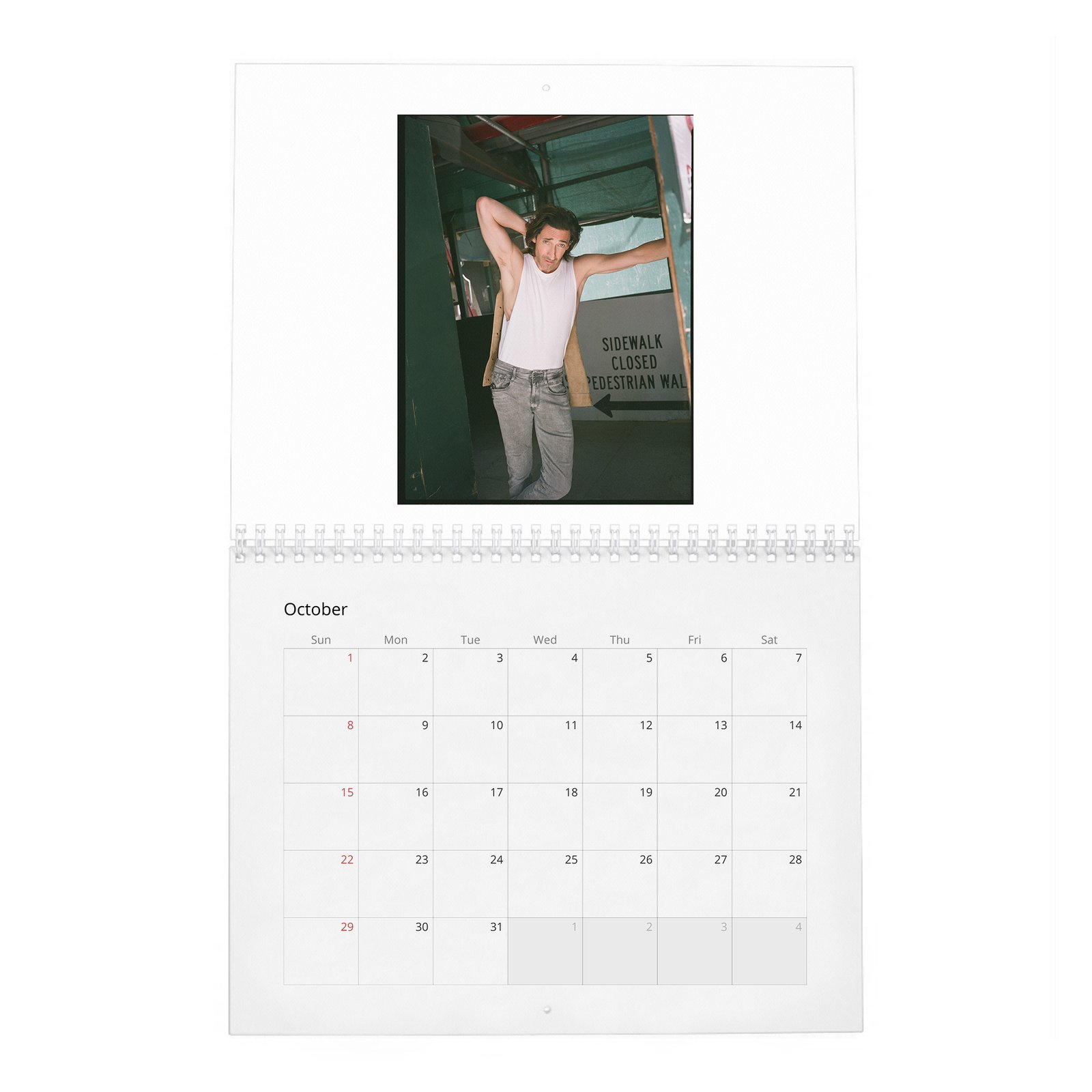 10 Adrien Brody - The Amazing Adrian 2027 Wall Calendar