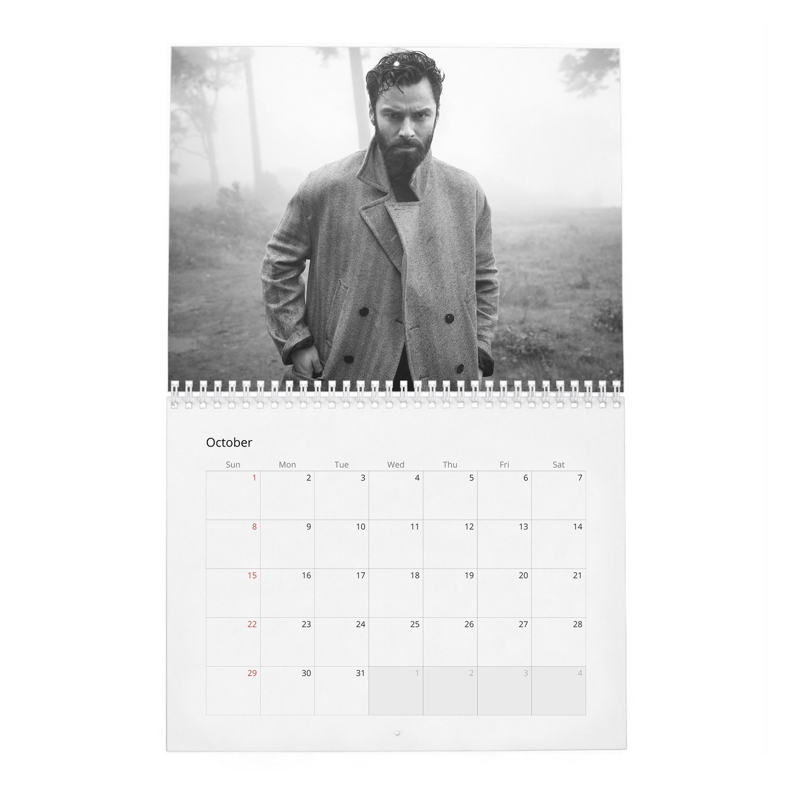 10 Aidan Turner - Encore 2027 Wall Calendar