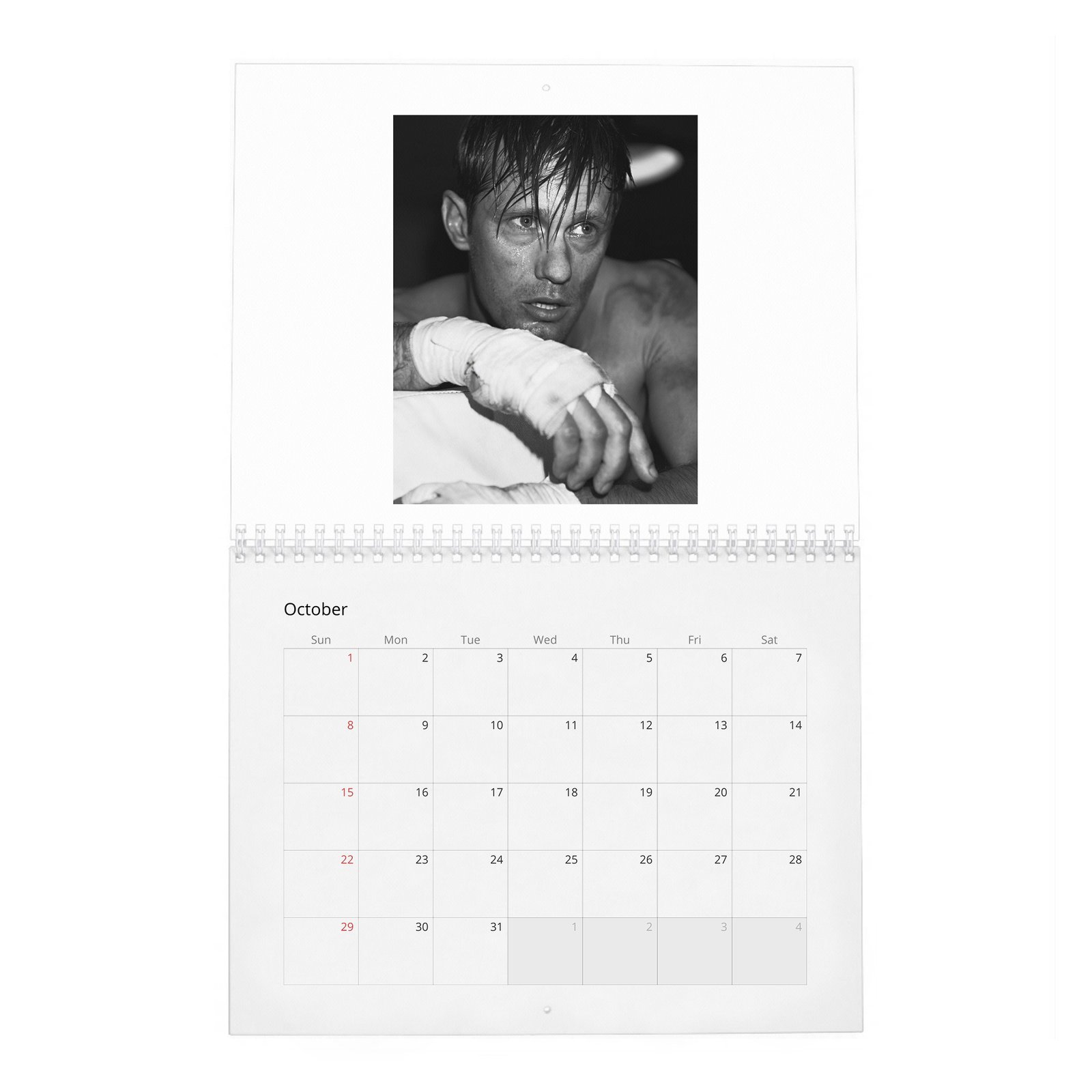 10 Alexander Skarsgard - Knockout At Fortune Gym 2027 Wall Calendar