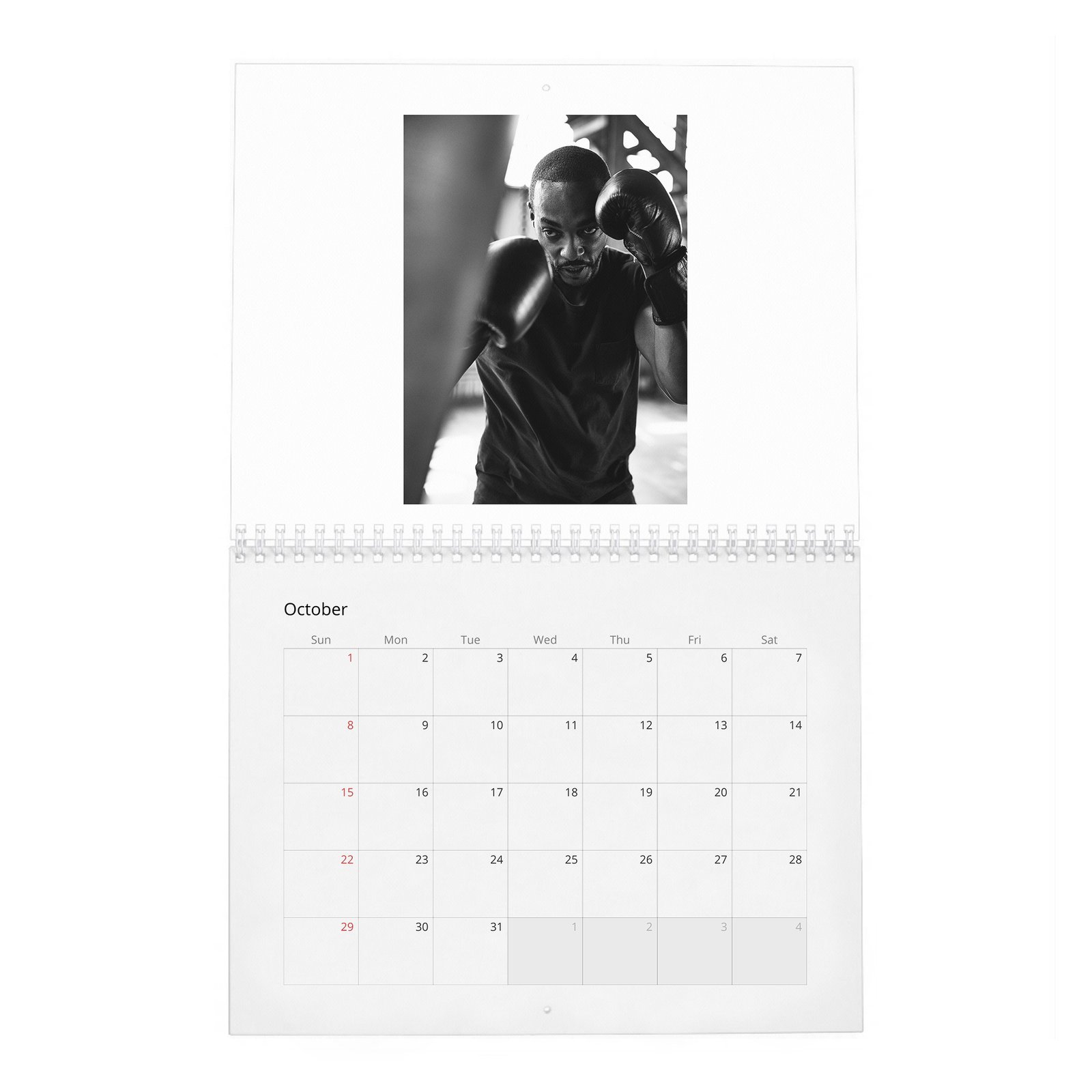 10 Anthony Mackie - Your New Captain 2027 Wall Calendar