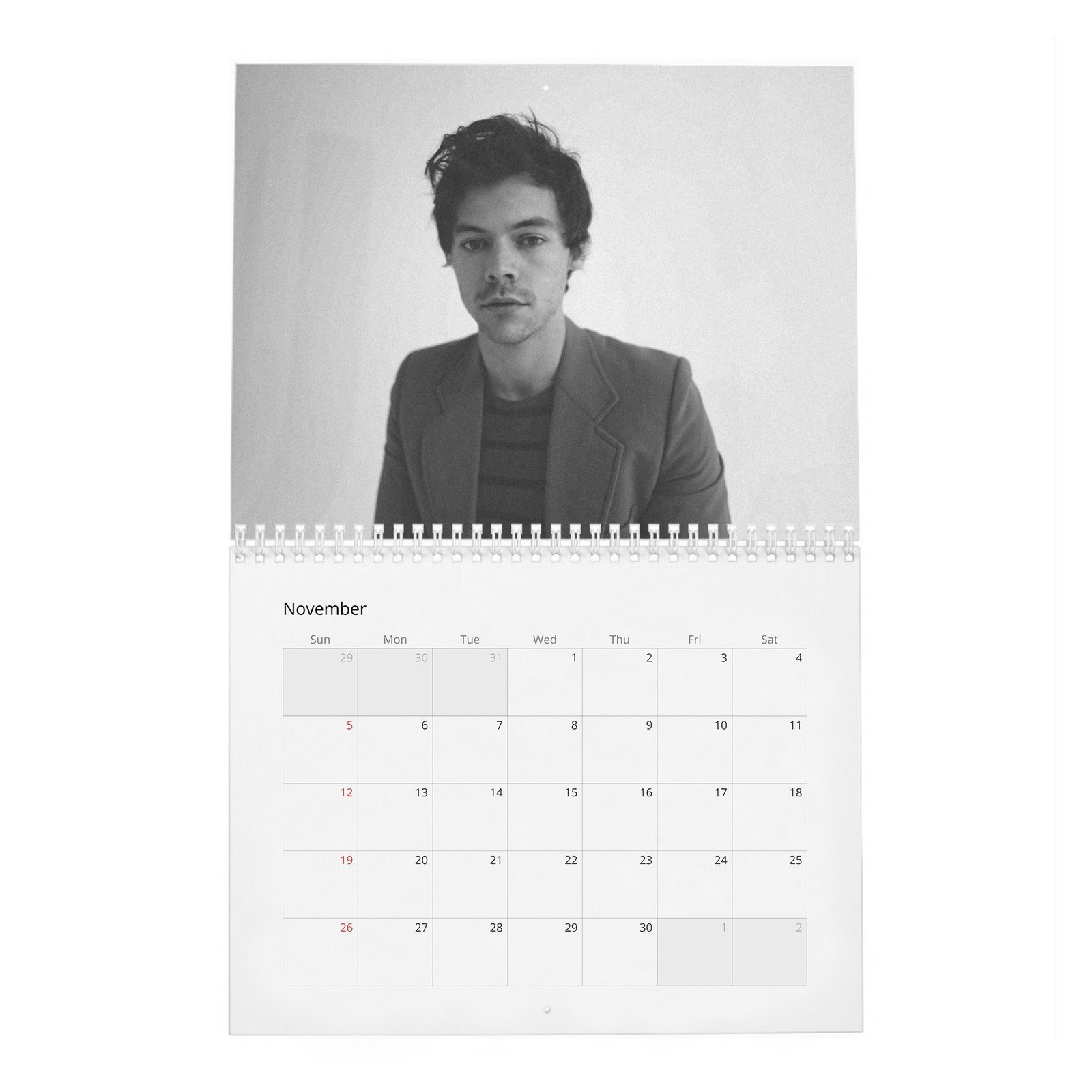 11 Harry Styles - House of Styles 2027 Wall Calendar