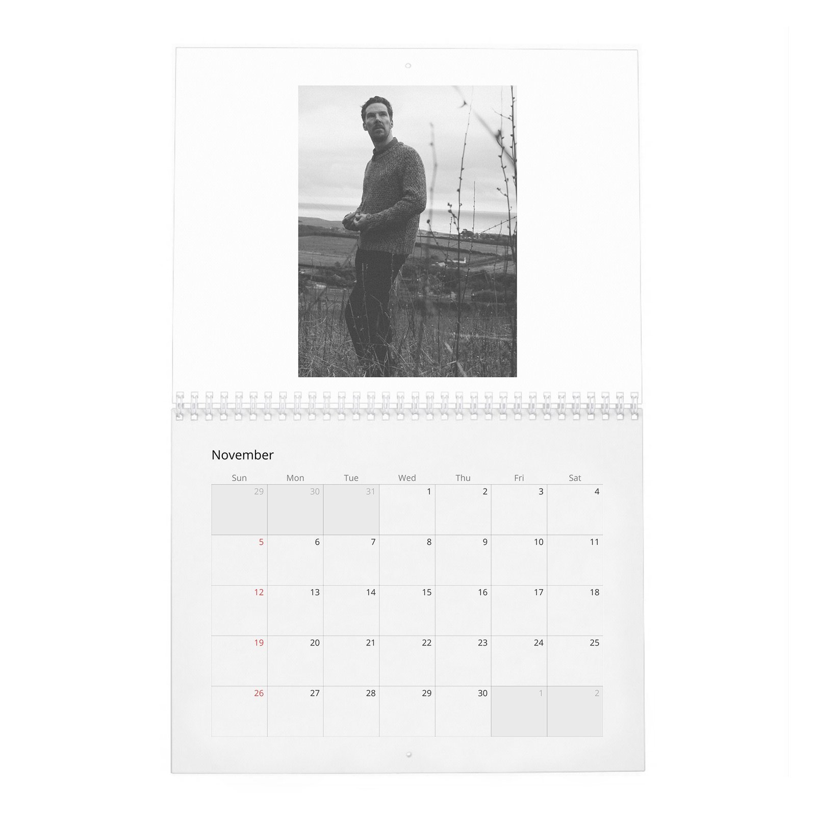 11 Benedict Cumberbatch - Monsters Among Us 2027 Wall Calendar