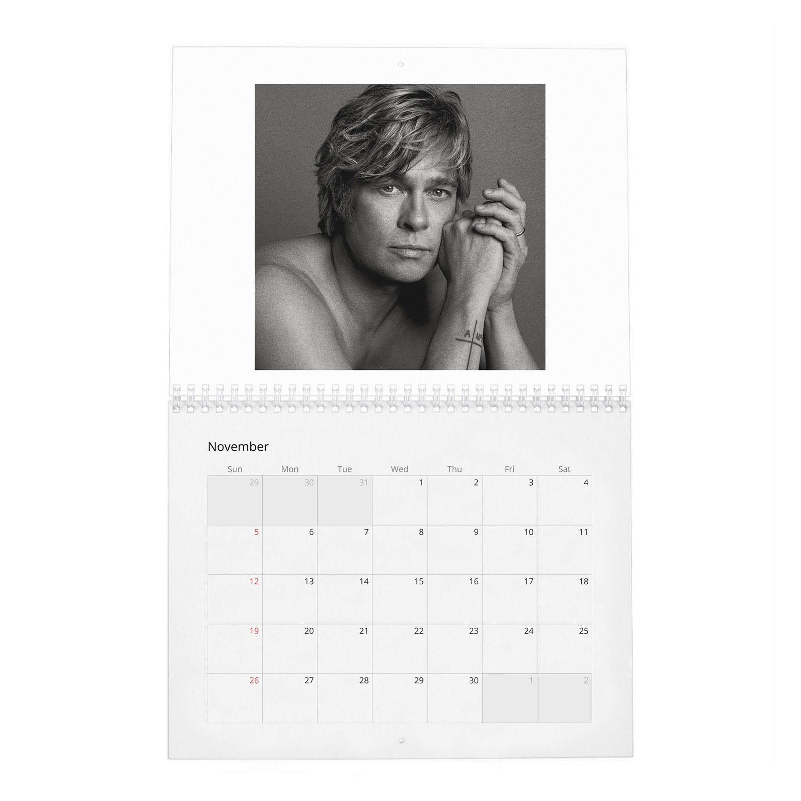 Brad Pitt - Born To Be Brad 2027 Wall Calendar