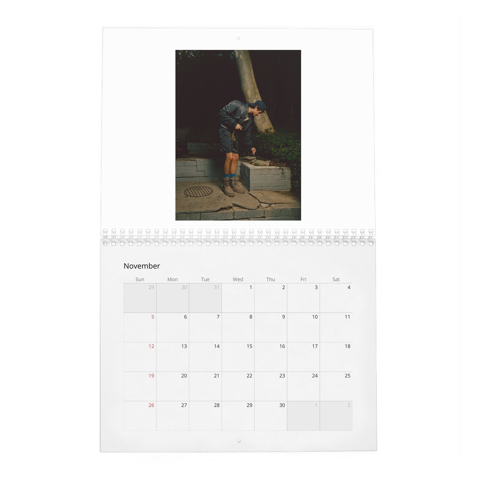 11 Cesar Domboy - Flaunt 2027 Wall Calendar