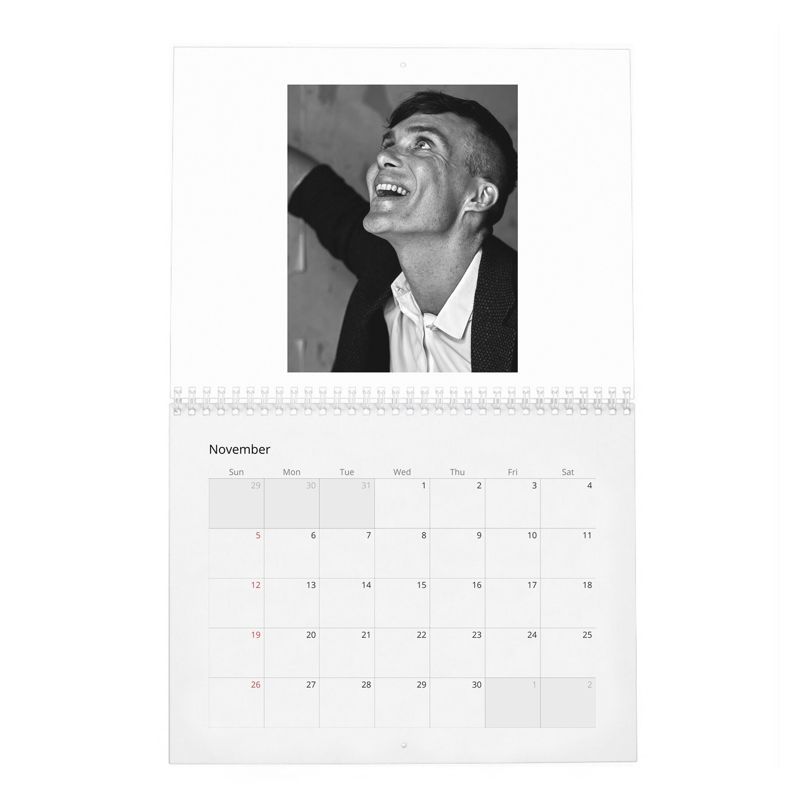 11 Cillian Murphy - Actor Of The Year 2027 Wall Calendar