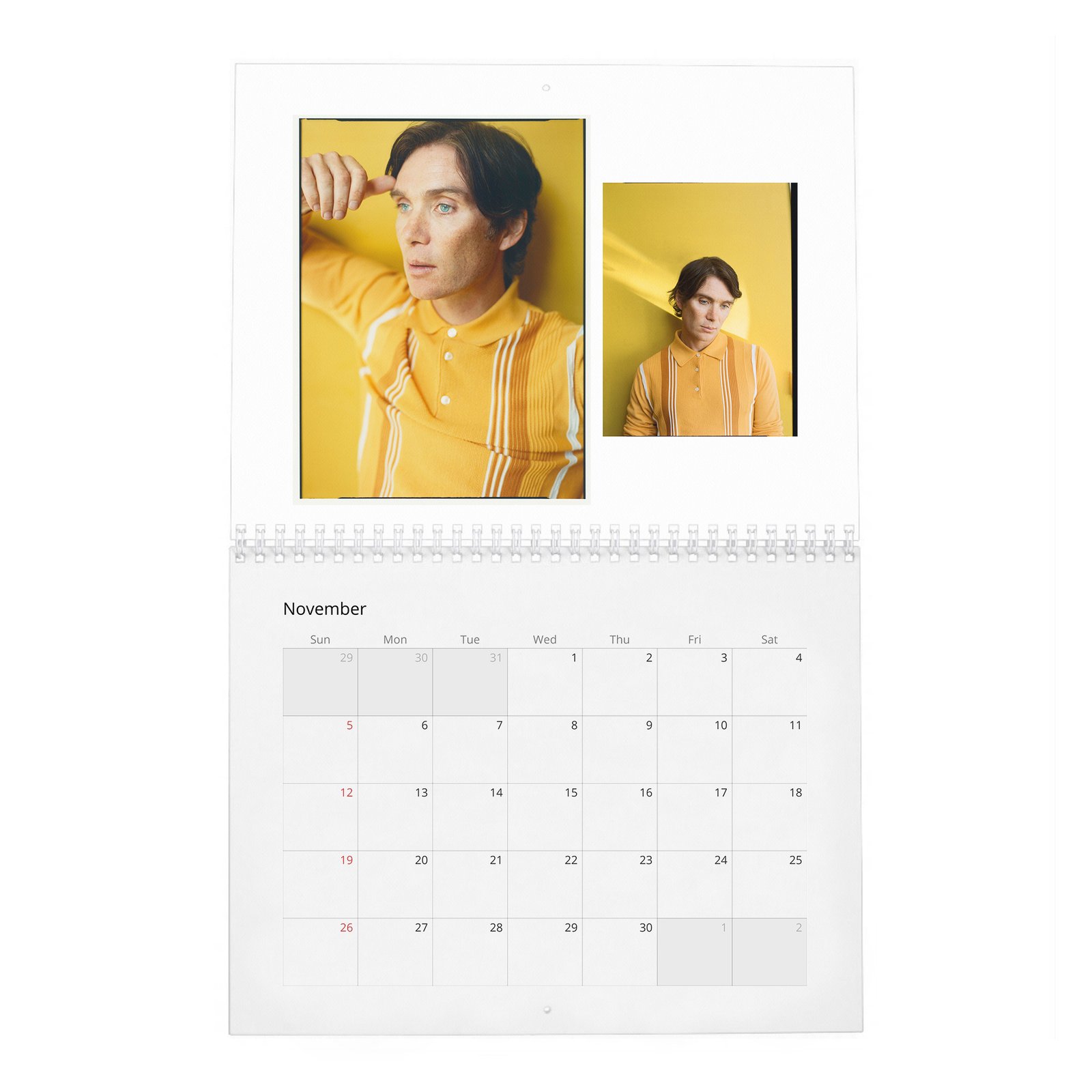 11 Cillian Murphy - Field Of His Own 2027 Wall Calendar