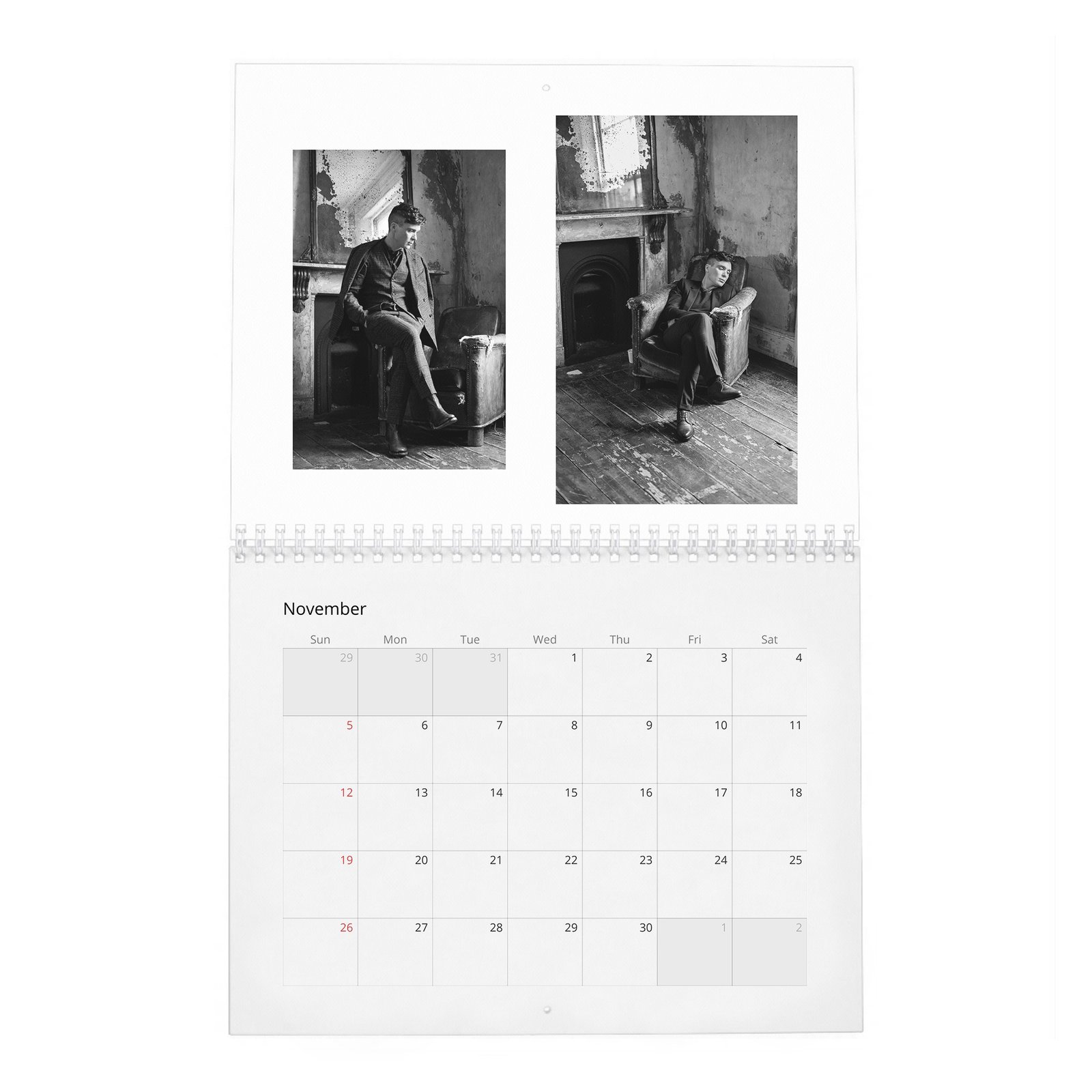 11 Cillian Murphy - So It Goes 2027 Wall Calendar