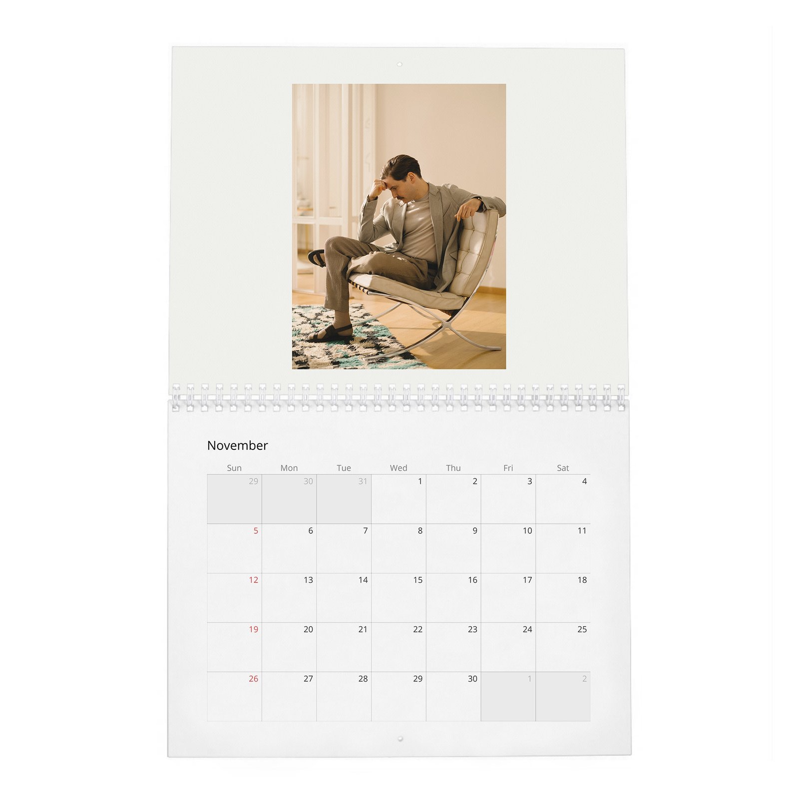 11 Daniel Bruhl - World Star Like Us 2027 Wall Calendar