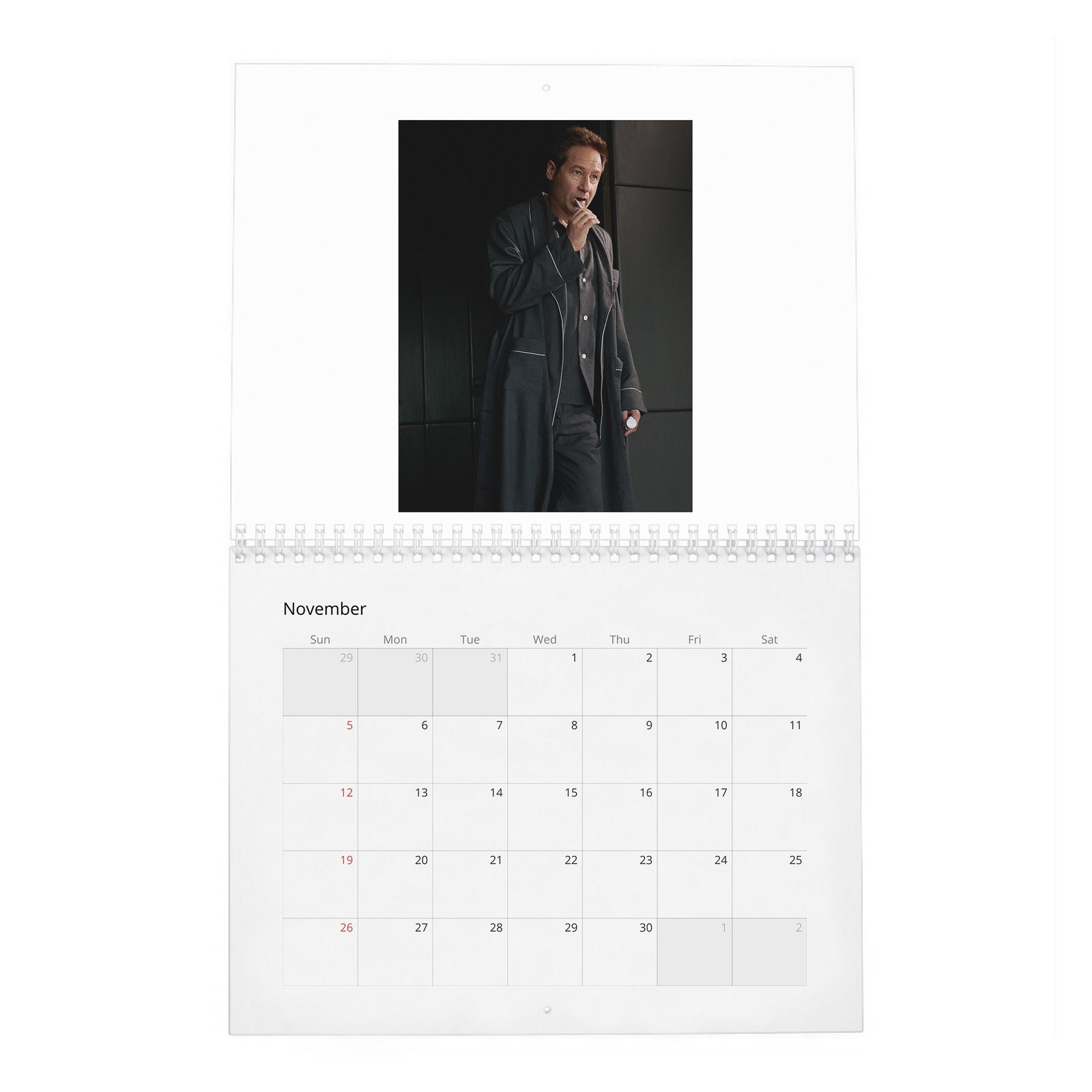David Duchovny - Weekend In The Life 2027 Wall Calendar