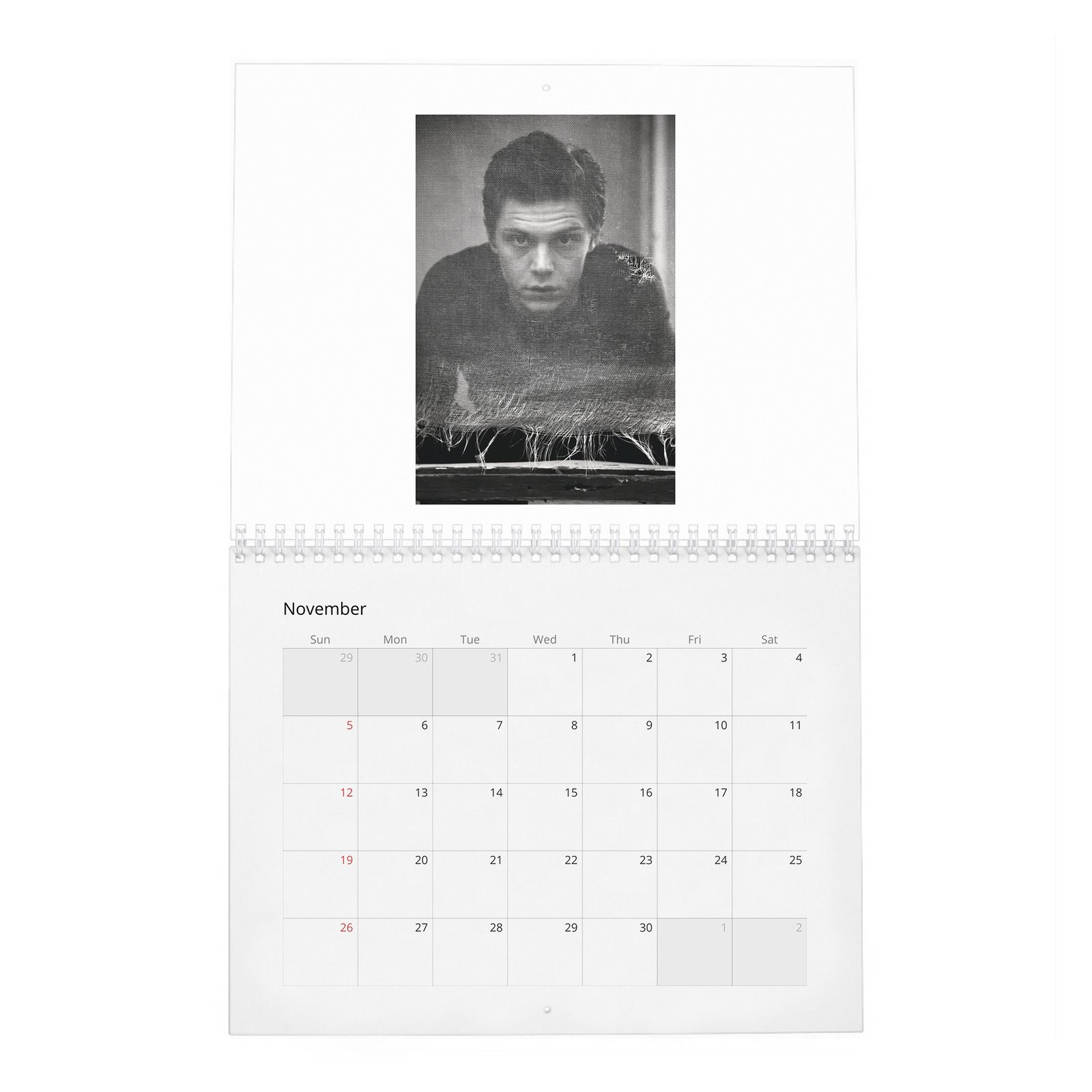 11 Evan Peters - Flaunt 2027 Wall Calendar