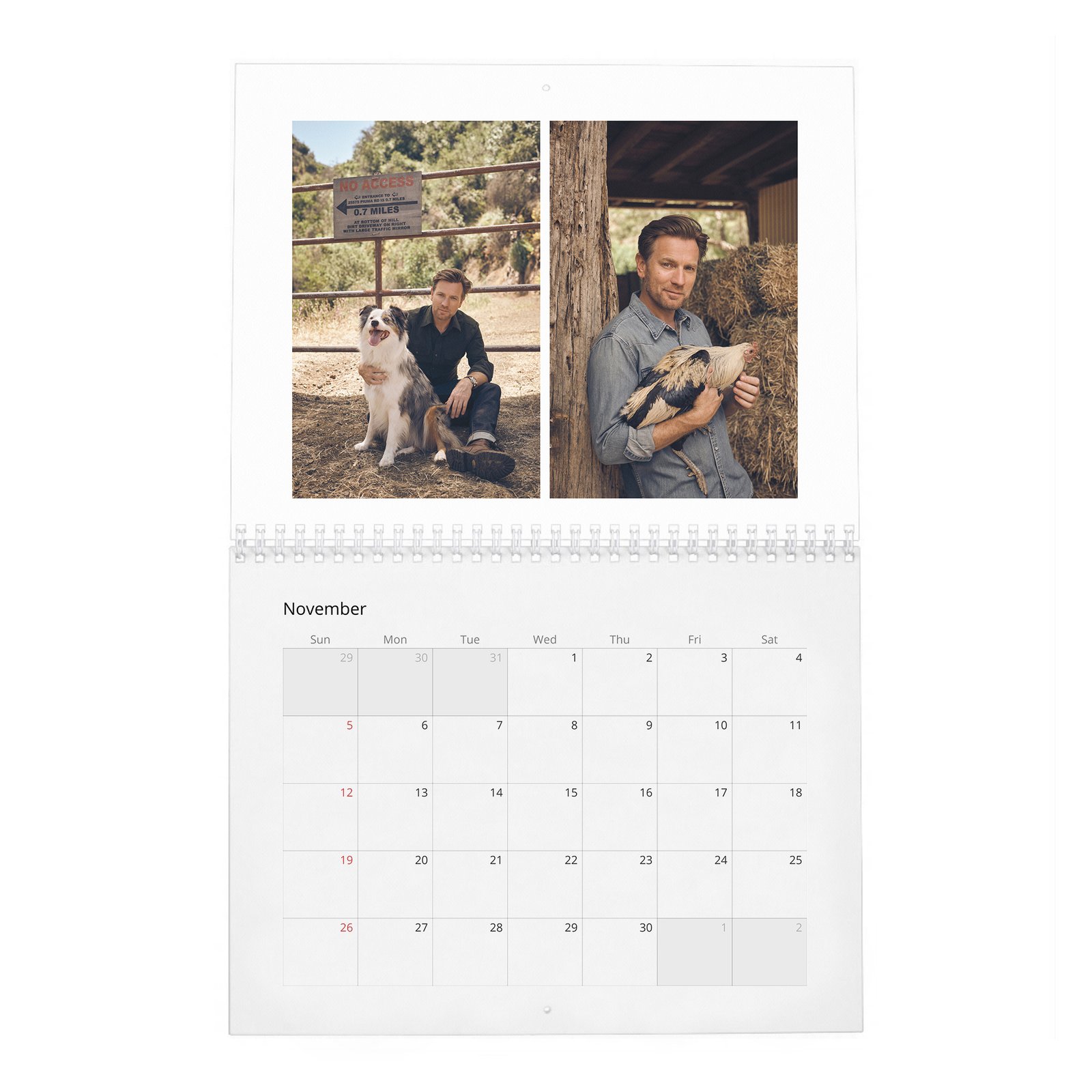 11 Ewan Mcgregor - Leading Man 2027 Wall Calendar