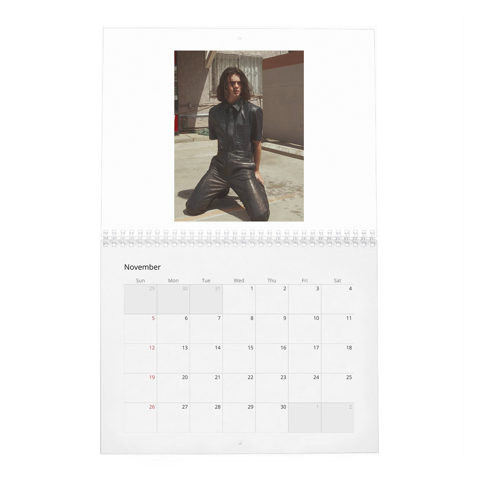 Felix Mallard - Flaunt 2027 Wall Calendar