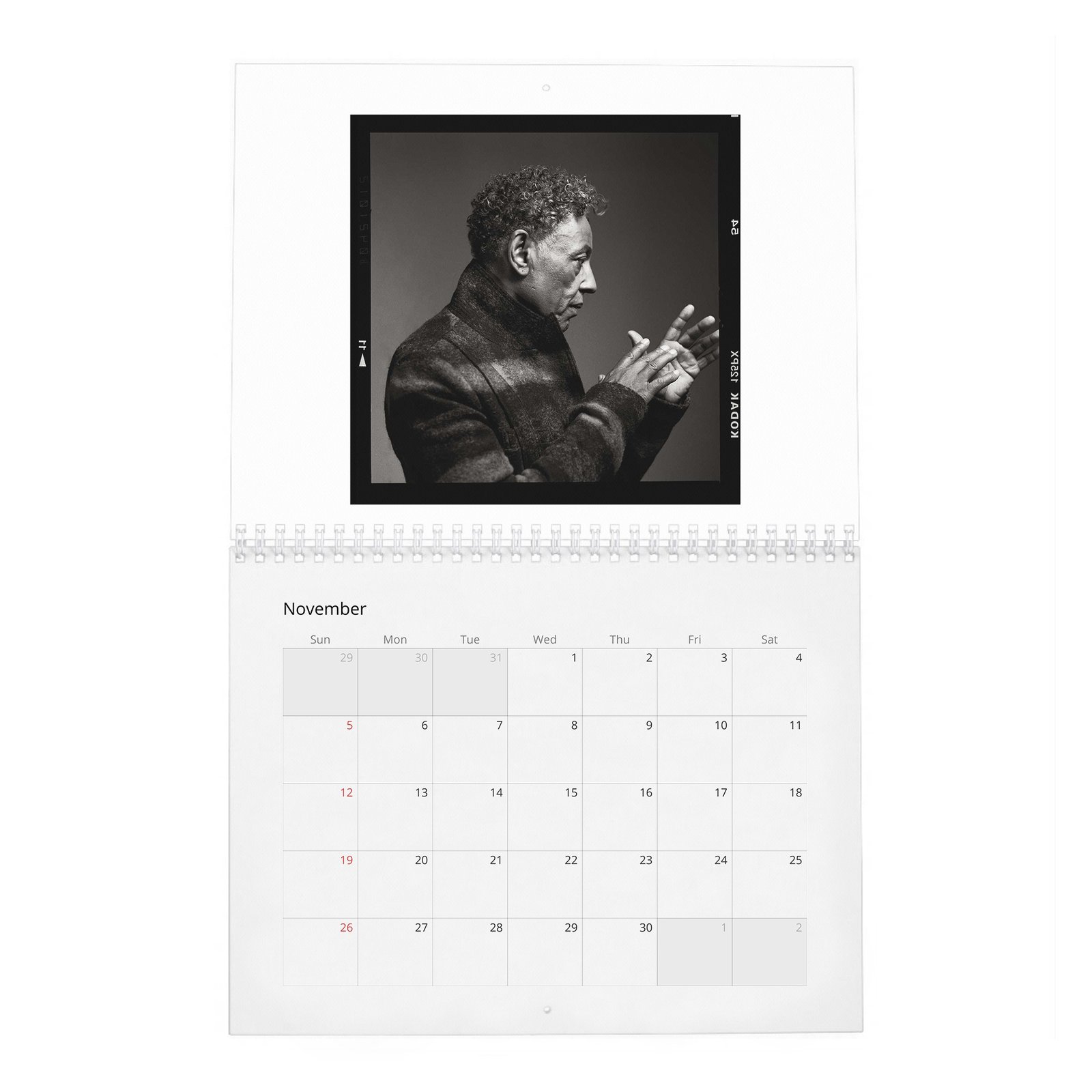 11 Giancarlo Esposito - Rogue 2027 Wall Calendar
