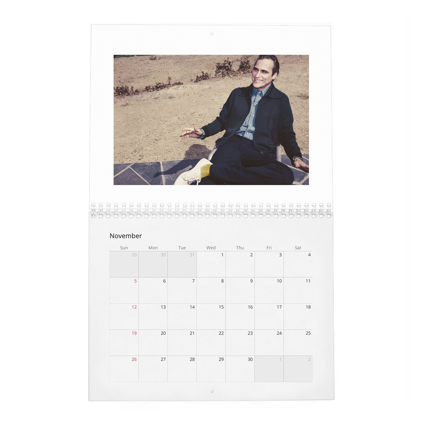 11 Joaquin Phoenix - Hollywood Rebel 2027 Wall Calendar