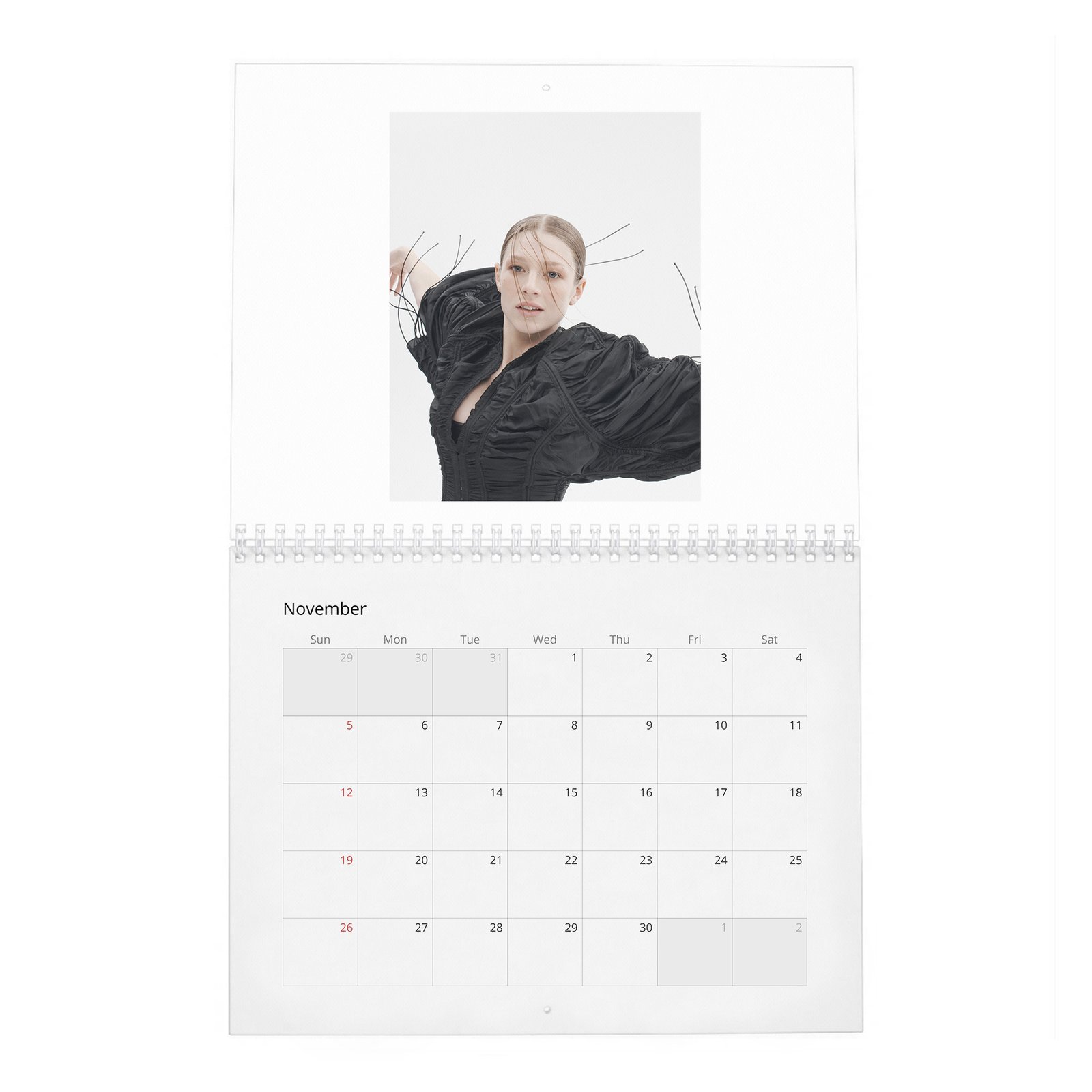 11 (2) Hunter Schafer - Leaning In 2027 Wall Calendar