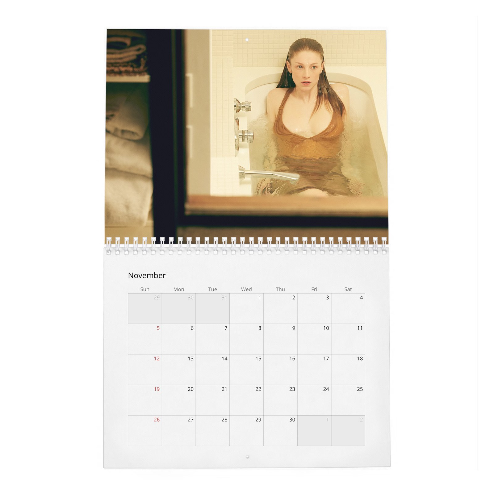 11 (2) Hunter Schafer - Art & Expression 2027 Wall Calendar