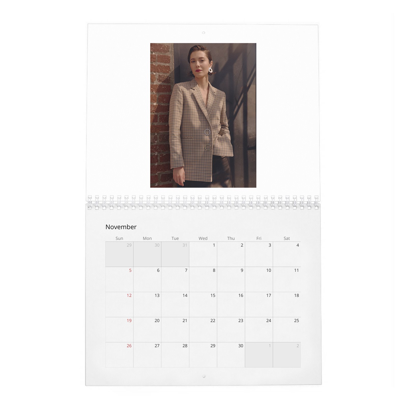 11 Mary Elizabeth Winstead - Laterals 2027 Wall Calendar