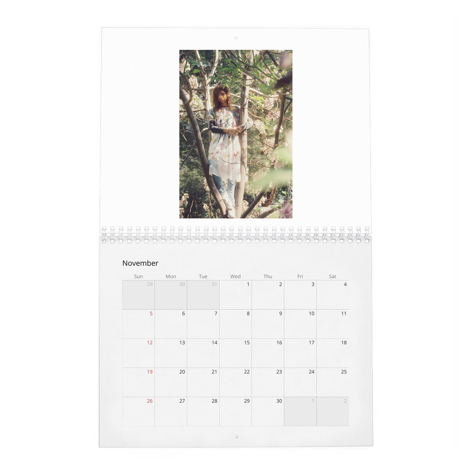 Zendaya - Wonderland 2027 Wall Calendar