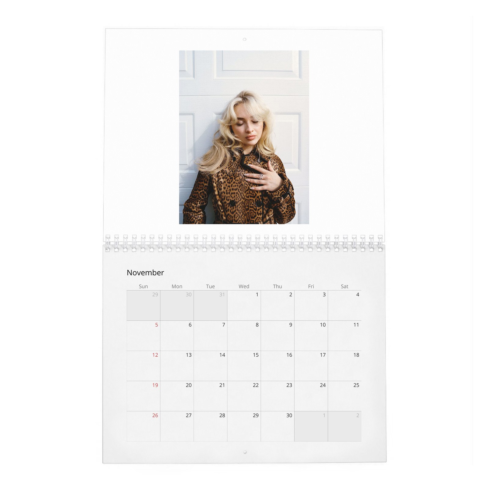 11 Sabrina Carpenter - Obsessed 2027 Wall Calendar