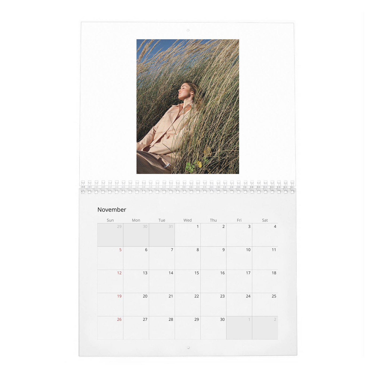 11 Alba Babtista - Embrancing Life 2027 Wall Calendar