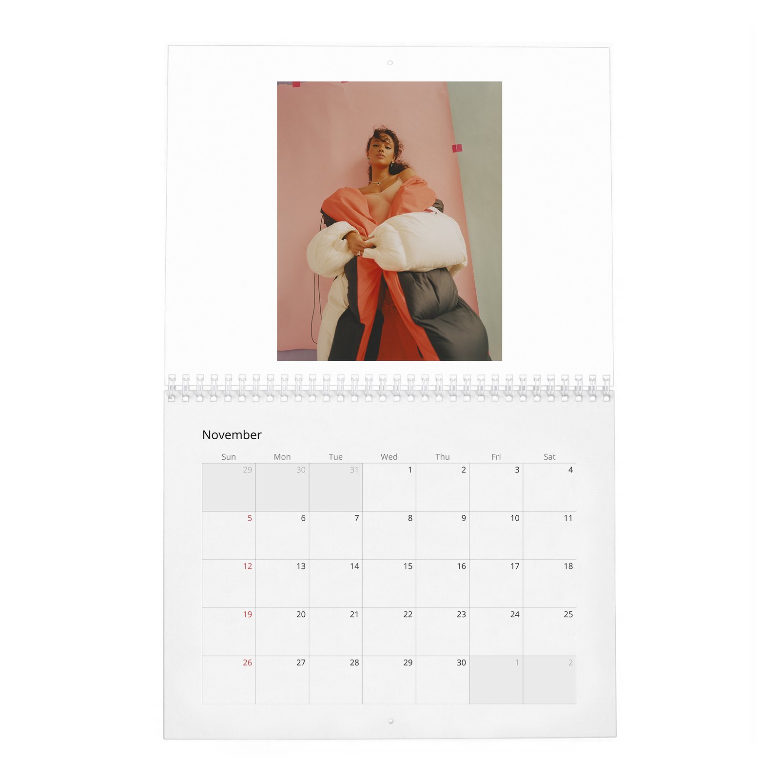11 Alisha Boe - Wonderland 2027 Wall Calendar